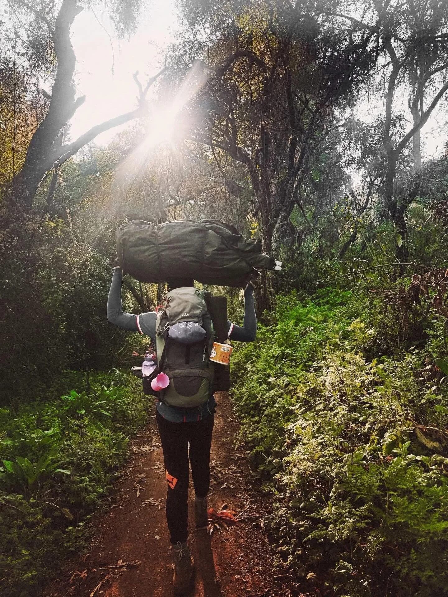 🌿 Step by step through the lush rainforest of Mt. Kilimanjaro &mdash; where every breath is pure, every sound alive, and every path leads closer to the roof of Africa. 🌍✨
Join Peak Expeditions Tanzania and experience the magic of nature like never 