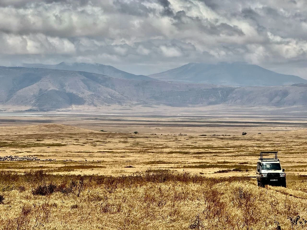🇹🇿 Where the Earth Holds Its Breath&hellip;
Out here on the endless plains, time slows, the horizon stretches forever, and every heartbeat syncs with the rhythm of the wild. The Ngorongoro Crater isn&rsquo;t just a place it&rsquo;s a world within a
