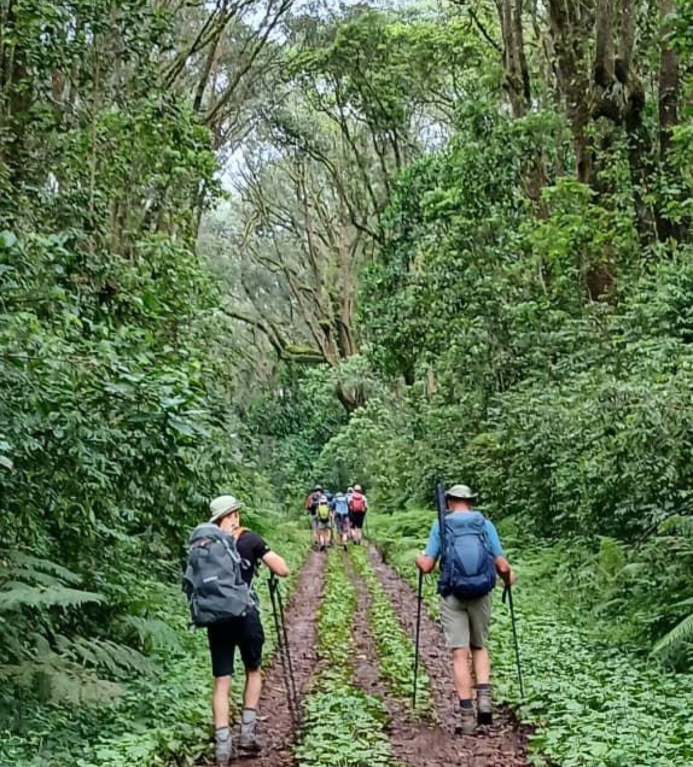 Peak Expeditions Tanzania 🇹🇿 Guiding you from rainforest roots to the summit of Africa.

www.peak-expeditions-Tanzania.com

#MtKilimanjaro #Bucketlisttravel #peakexpeditionstanzania
