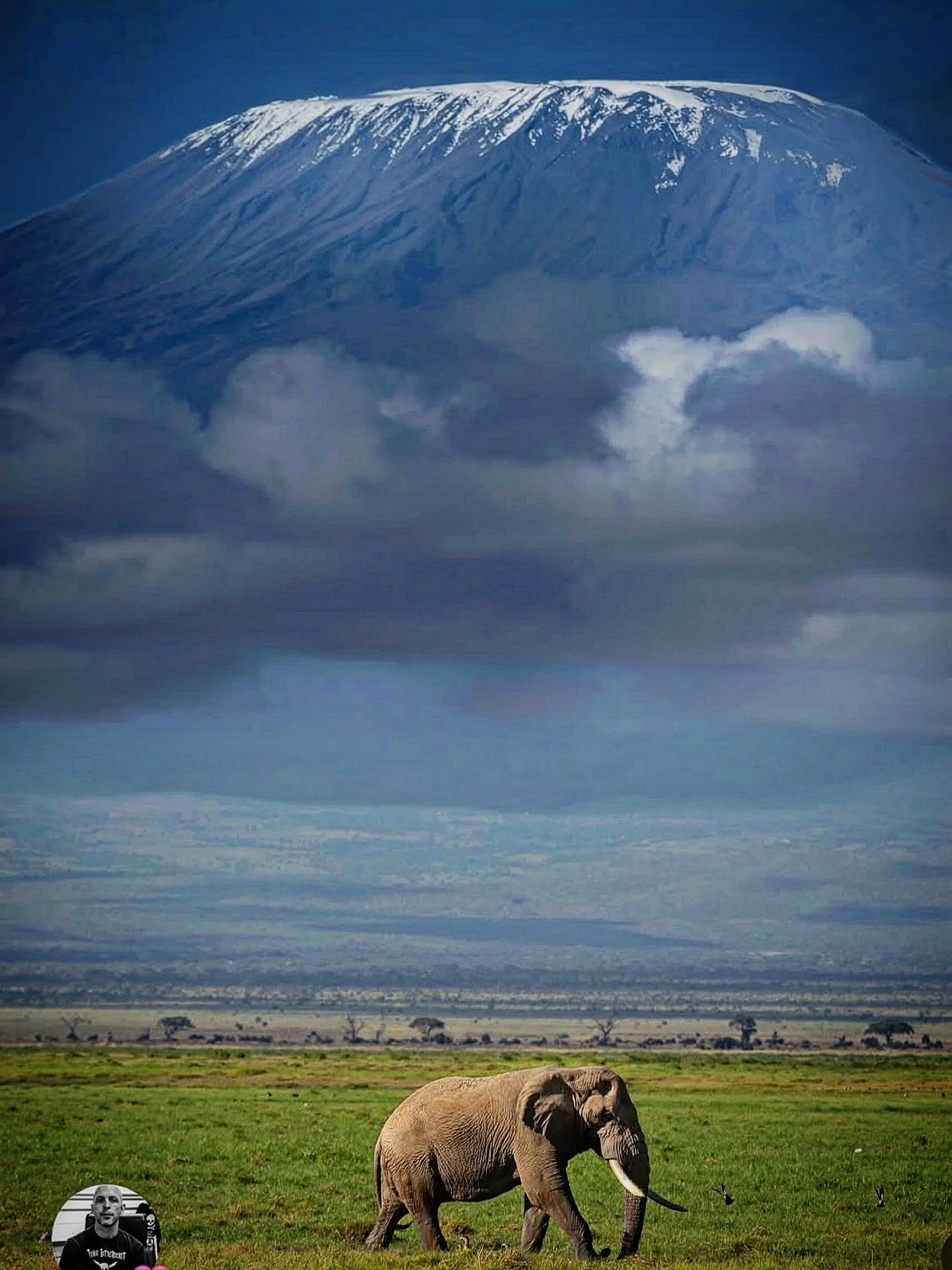 Above the clouds stands Mount Kilimanjaro.
Below it walks a giant of the wild. 🐘

Two titans. One frame.
Strength in silence. Power without noise.

Kilimanjaro doesn&rsquo;t shout to be known.
The elephant doesn&rsquo;t prove its dominance.
They sim