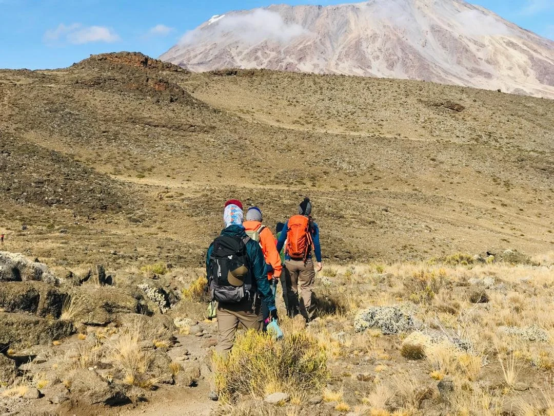 WhatsApp Image 2024-08-15 at 13.52.40 (1).jpeg