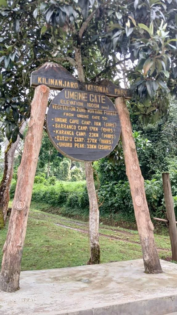 WhatsApp Image 2024-08-23 at 16.28.01.jpeg