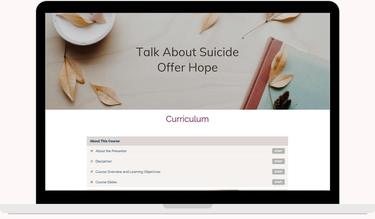 Suicide Assessment | Part 3 Formulate Risk and Plan for Safety ...