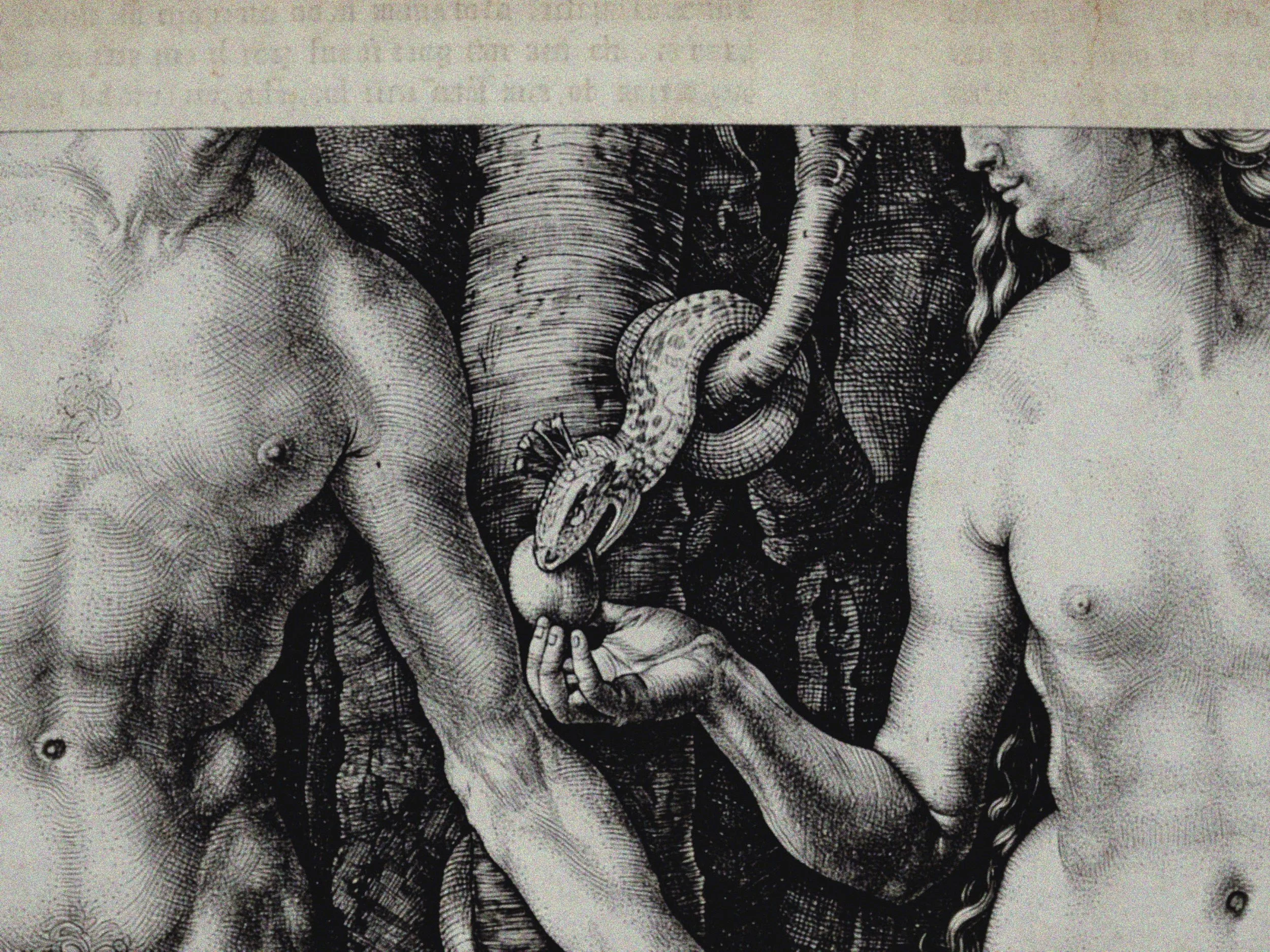 Still 2026-04-09 124720_1.10.1.jpg