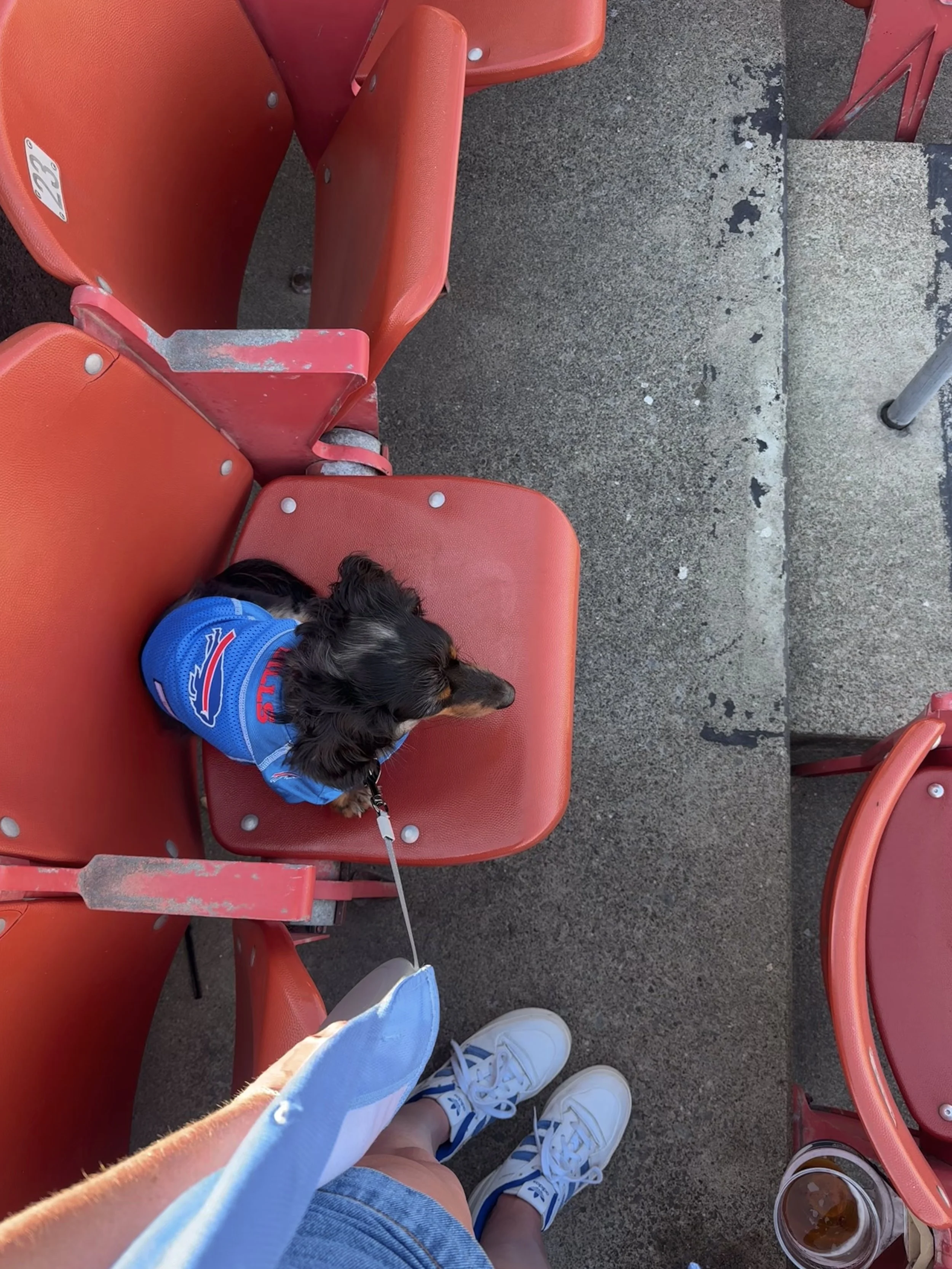 Hot Dog Days of Summer