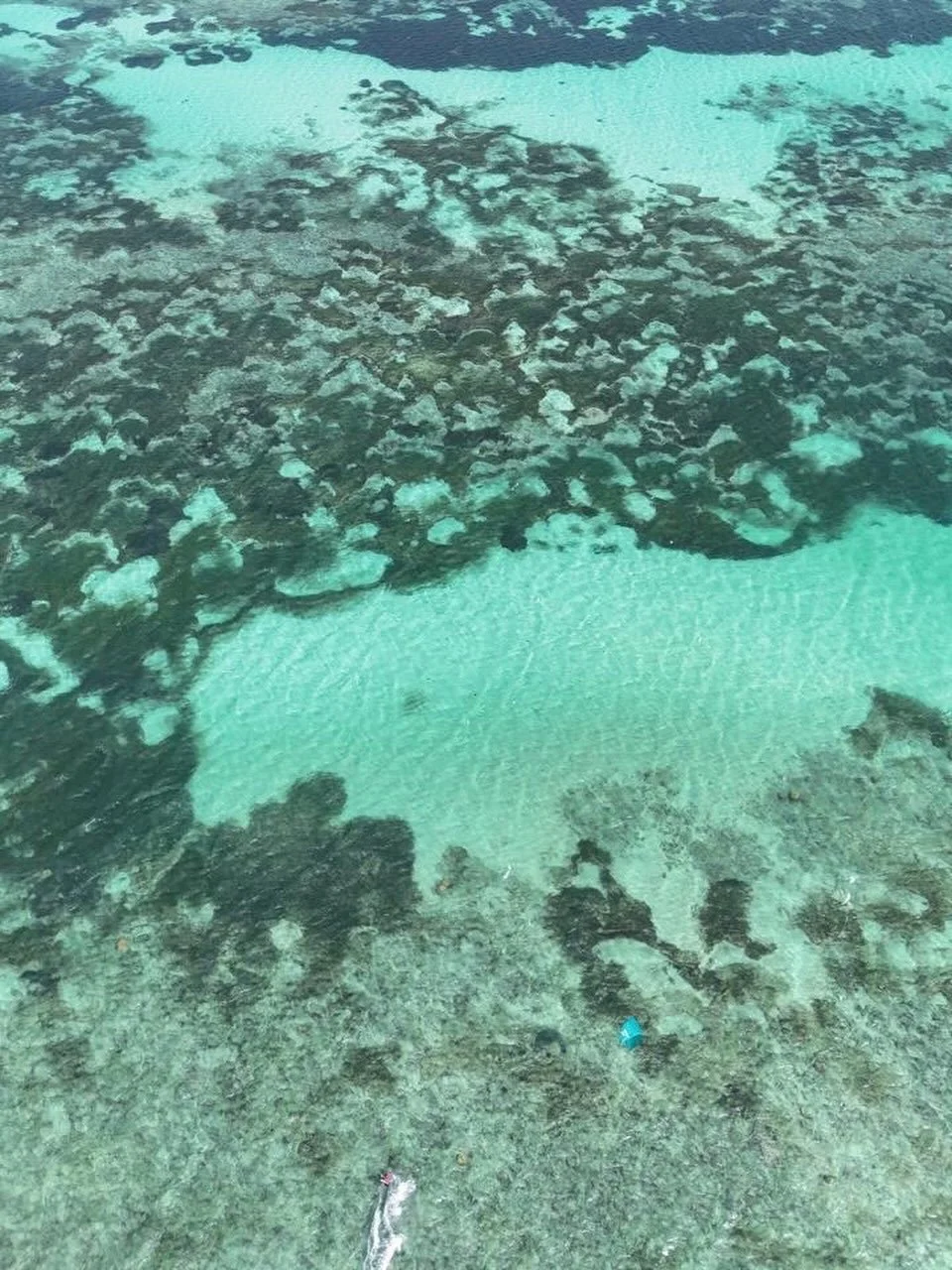 Imagine being right here.

Gliding over this glassy turquoise, wind steady, reef below, horizon wide open. 💨🌊

This is what it feels like to kite in Diani - smooth lagoon, endless space, colours that don&rsquo;t look real until you&rsquo;re standin