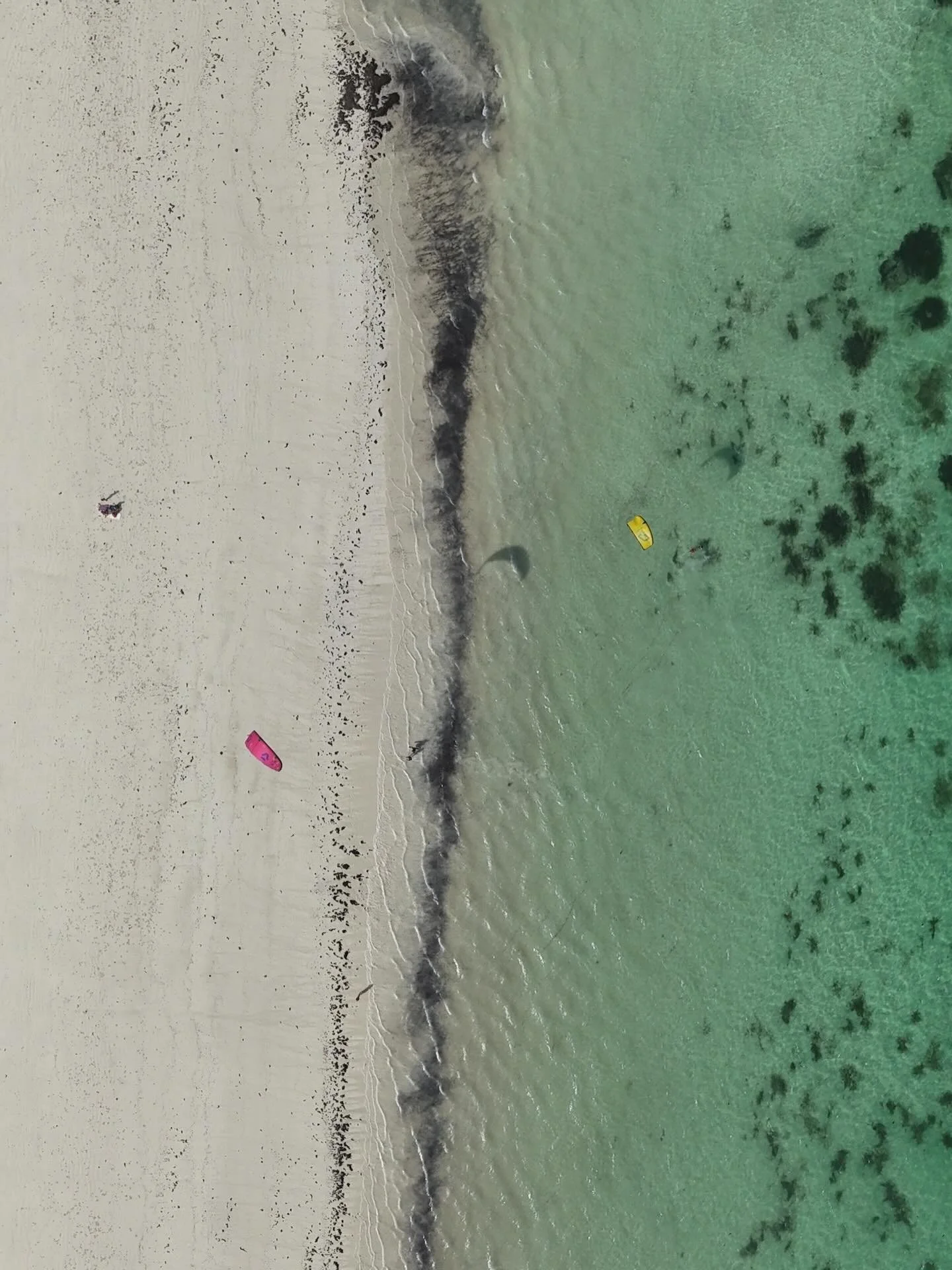 Our little slice of paradise here in Diani 🌴🌊

Views of the Indian Ocean that could keep you staring for hours&hellip; and even better, gliding across it.

Cool shade beneath swaying palms, endless coconuts, salty air, and more ways to move your bo