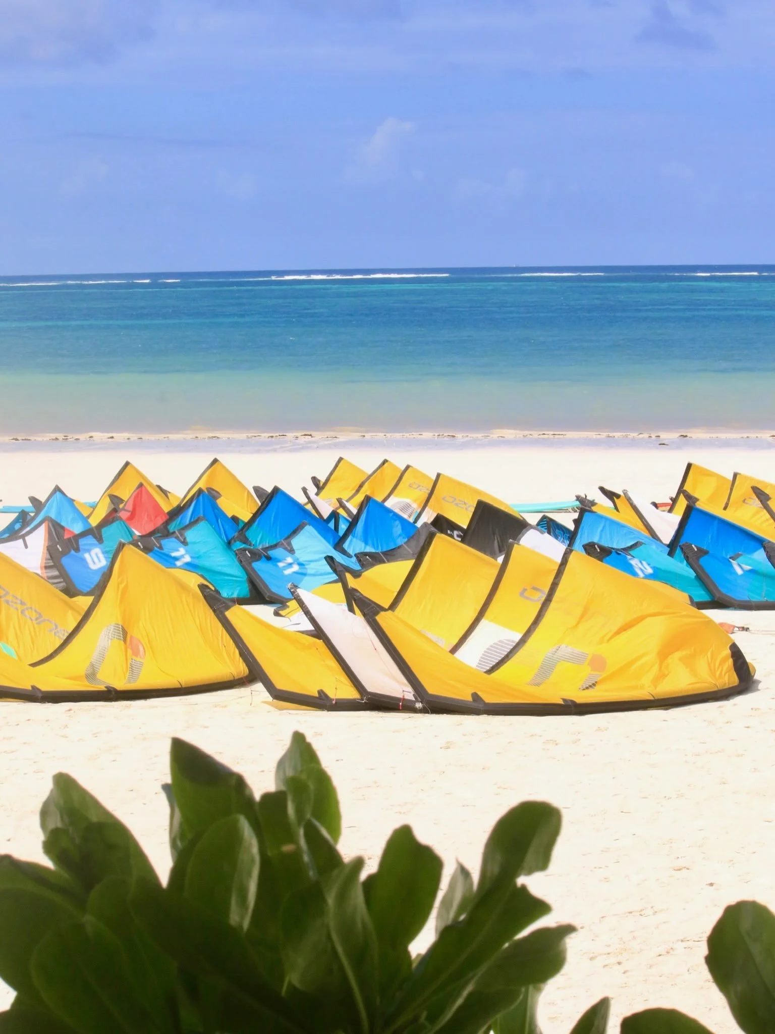 The kites are unpacked.
The boards are lined up.
The radios are charged.
The musics on.

We&rsquo;re just waiting for you (and the Kuzi wind)😎💨

Come see why we believe great gear makes all the difference and why we only use the best of the best.

