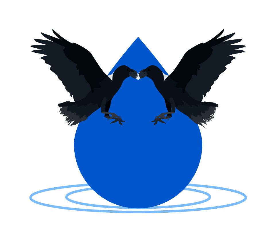 ODIN Webinar on the project's  innovative approach to environmental surveillance