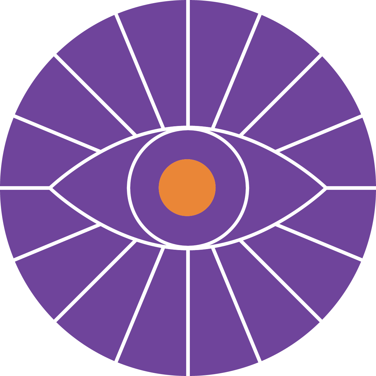 A stylized illustration of an eye with a purple iris, white lines outlining sections of the iris, and an orange circle in the center representing the pupil.