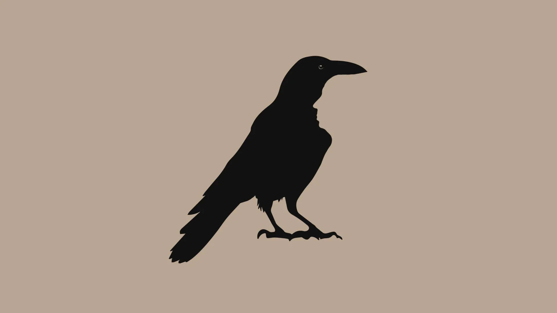 Hitchcock Festival 2026