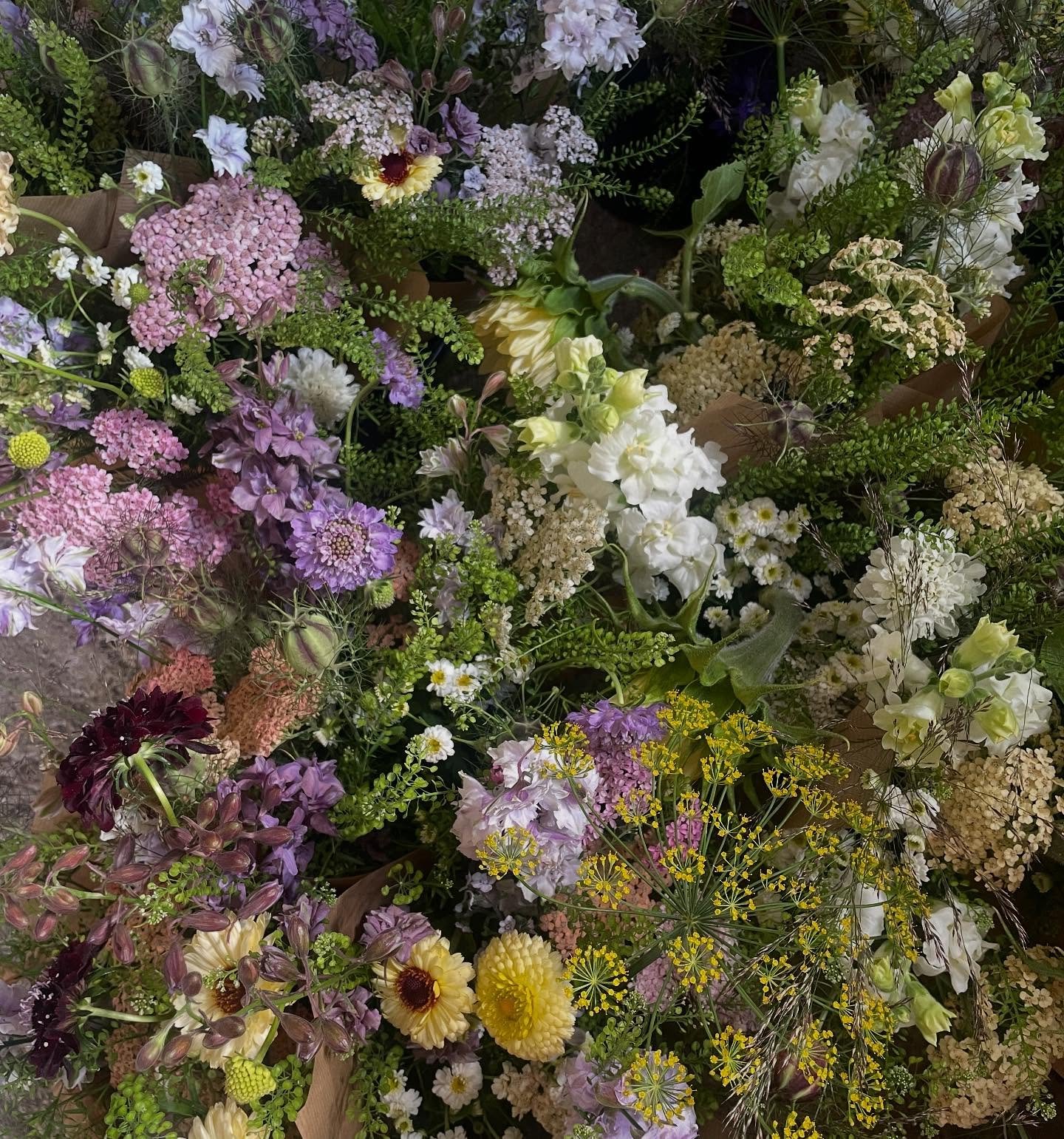 I&rsquo;ll be at Saxon Barn market tomorrow 10-2pm. It would be lovely to see as many of you there that&rsquo;s possible. 

The flower field is producing some beautiful flowers this week, many of which have gone into this month&rsquo;s market bouquet