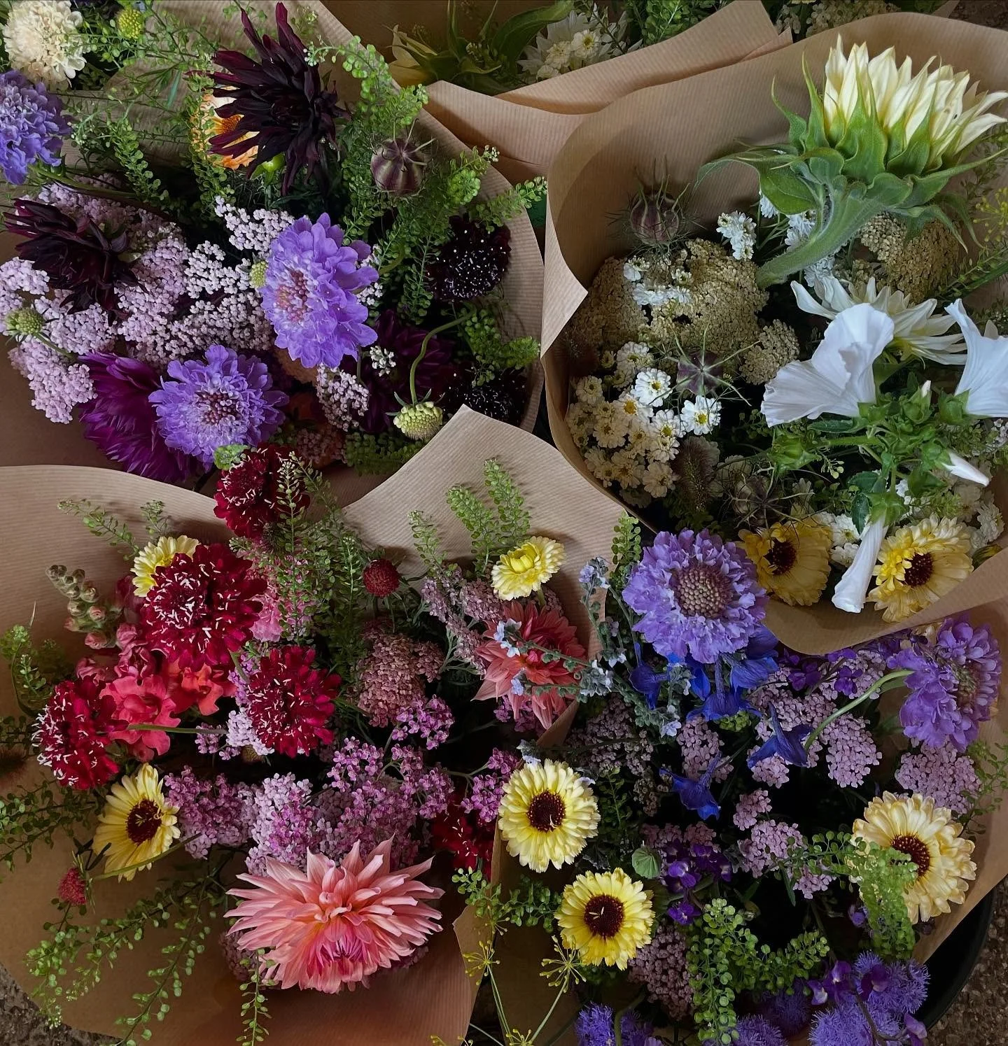 Bunches available @danskgypsy today! 

Have a lovely weekend everyone x
