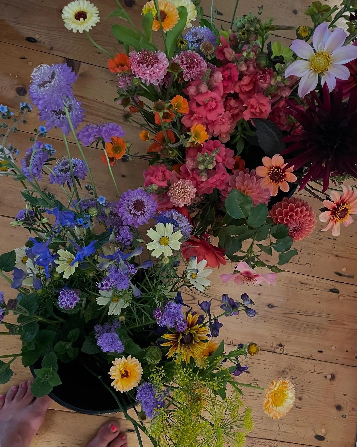 It&rsquo;s been a busy, hot, varied and very enjoyable week despite the rising temperatures. Here are a few of the highlights. 

(I&rsquo;m writing this whilst lying on the sofa and hiding from the 31 degrees heat outside.)

1. Bright selection of bl