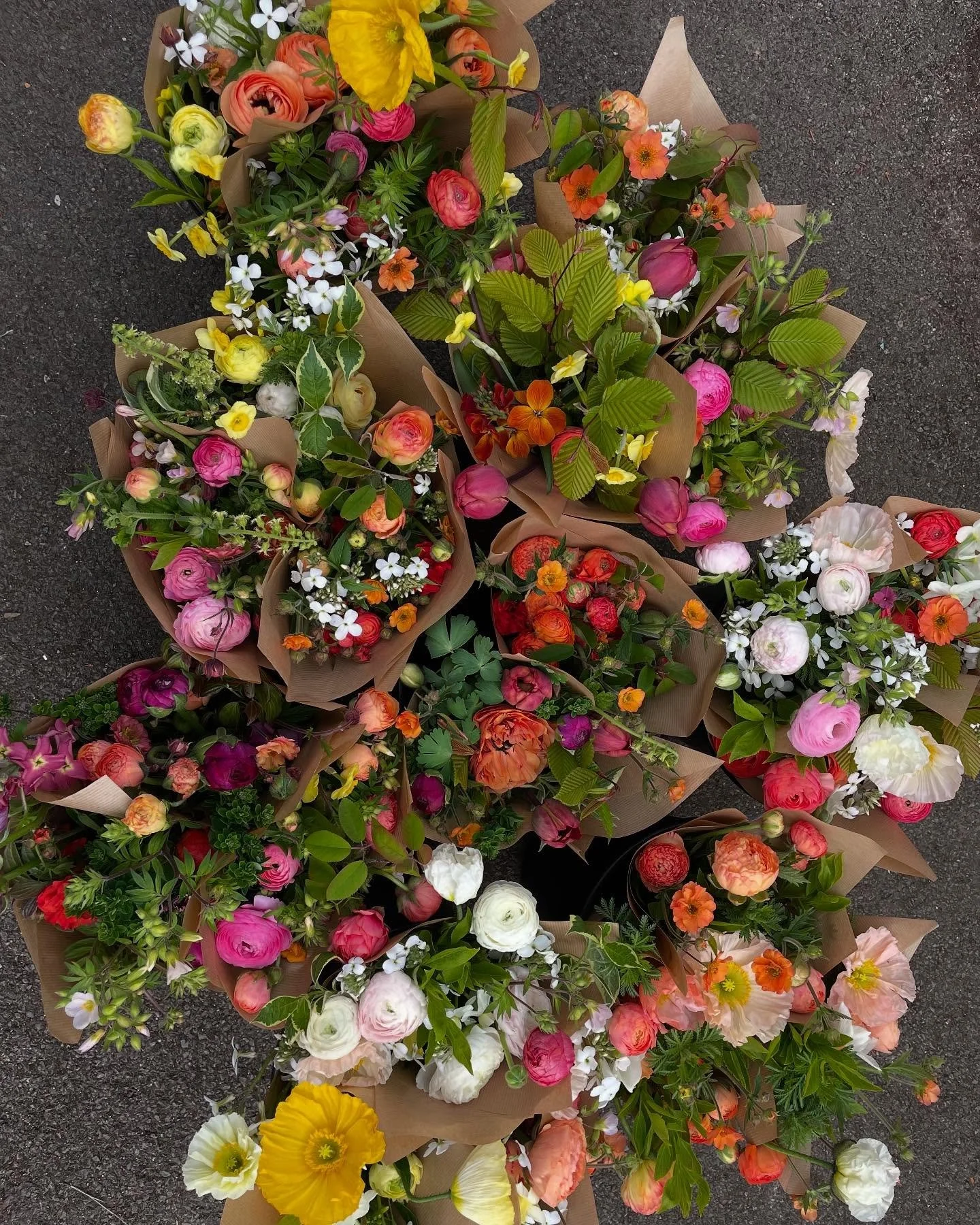 Wishing everyone a happy new year. I&rsquo;m heading into this year feeling positive and excited about what&rsquo;s to come. 

Here&rsquo;s a small selection of photos from the beginning of my flower season last year in mid-march. There were so many 