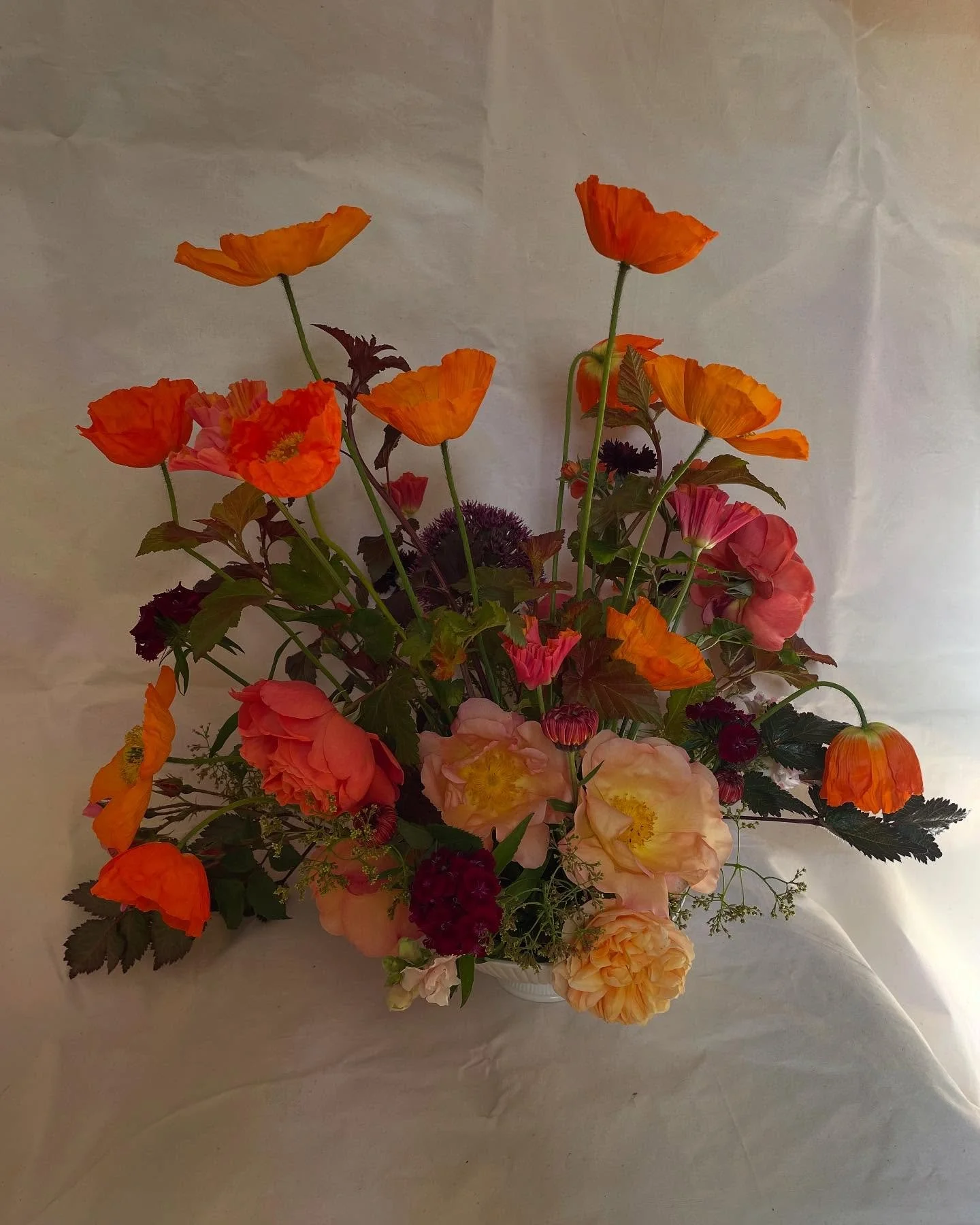 Part 2 of my reflection on 2025&rsquo;s flowers. 

These photos were taken during May and give an idea of what might be in bloom around that time of year. If you are getting married or have a special occasion during this month these are some of the f