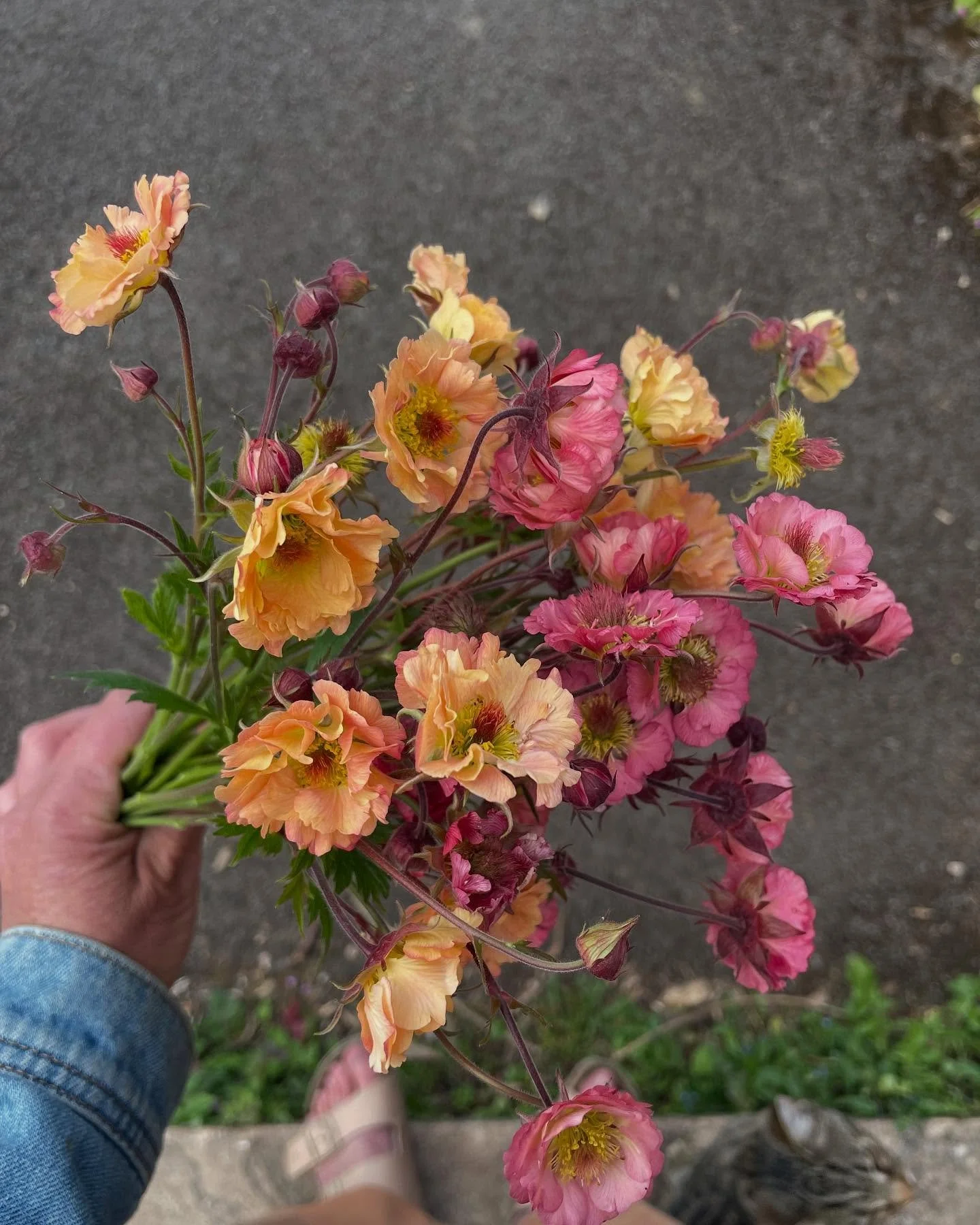 Snippets from this year&rsquo;s growing season thus far. . .