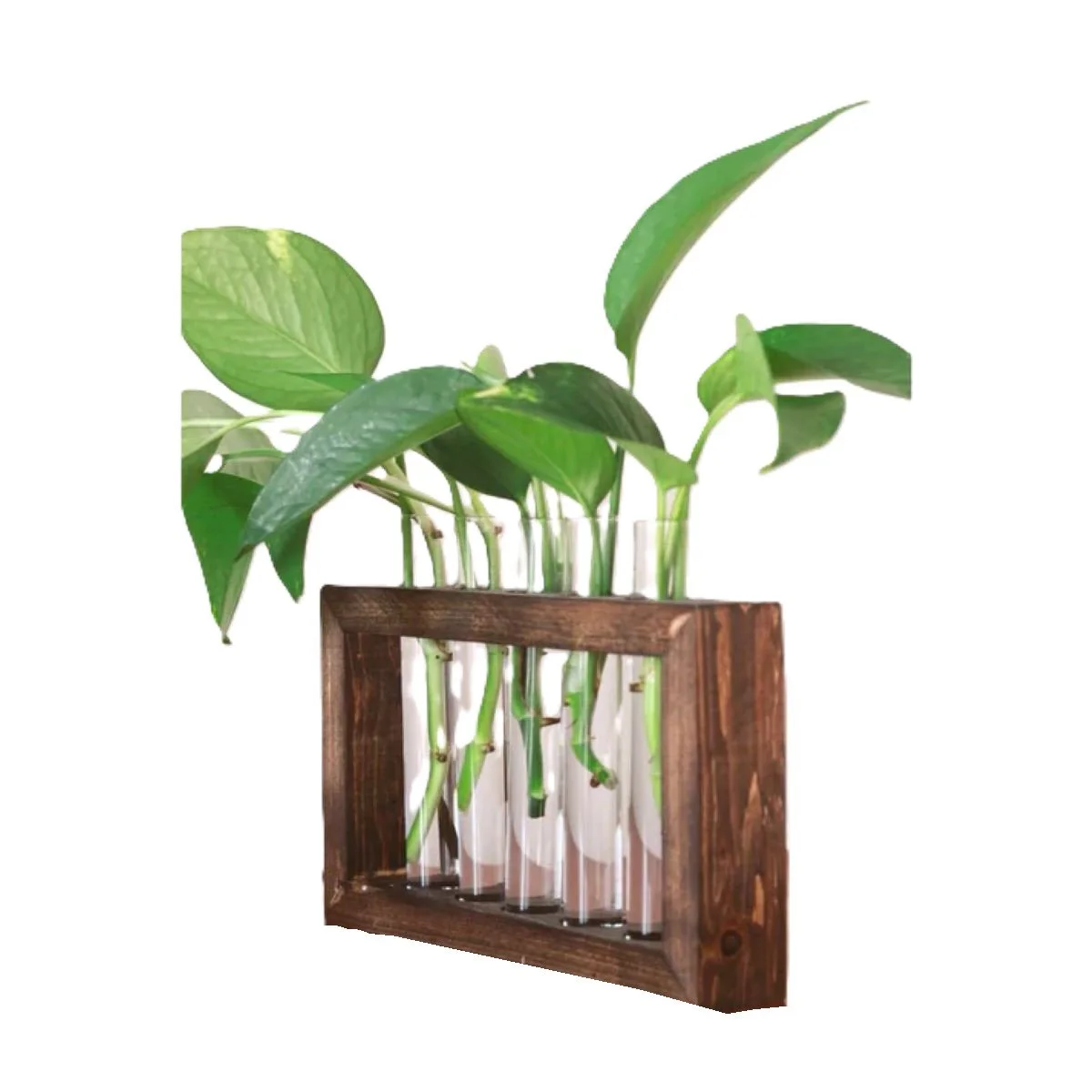 Plant Propagation Station