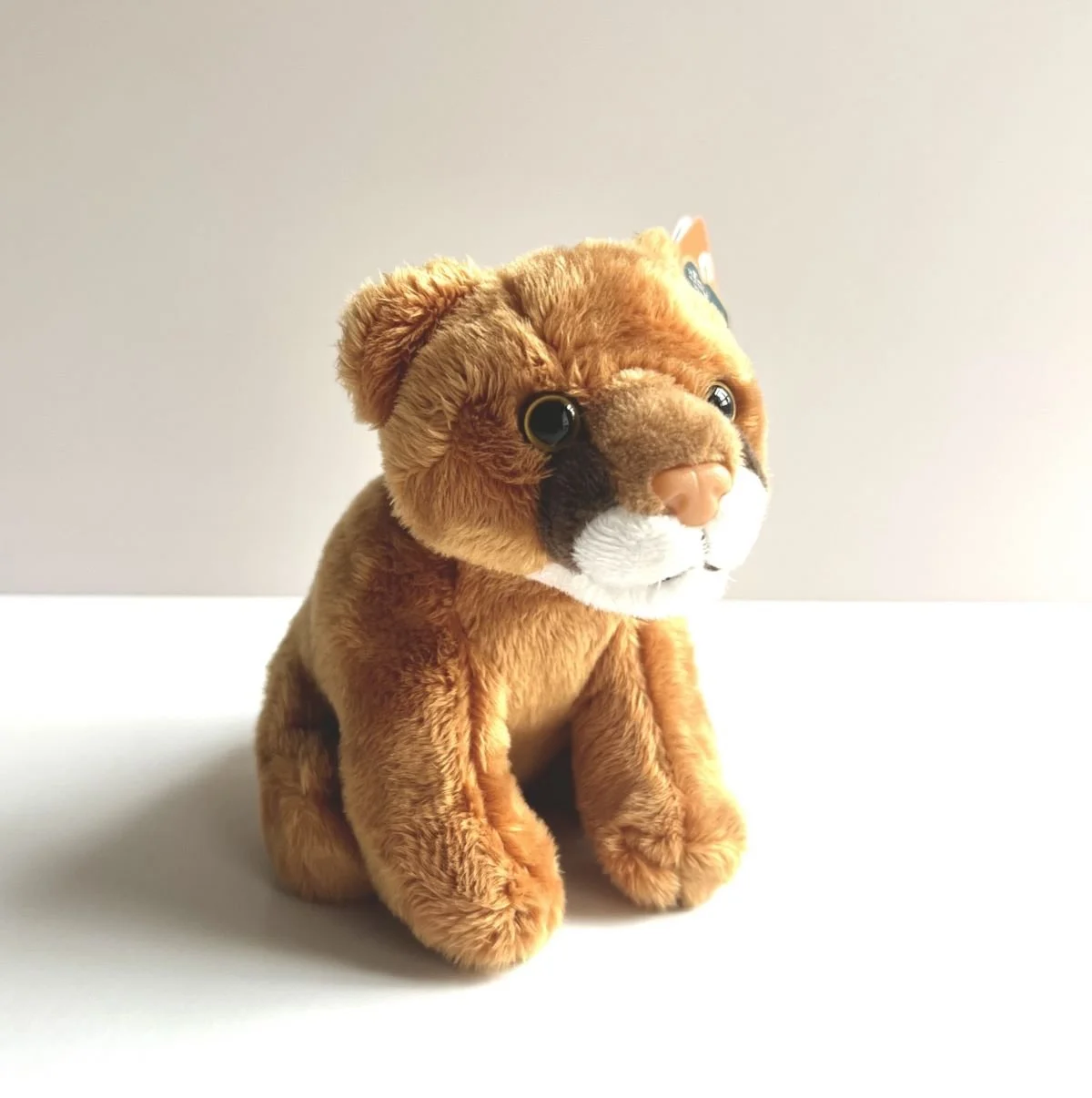 Resize Mountain Lion.JPG