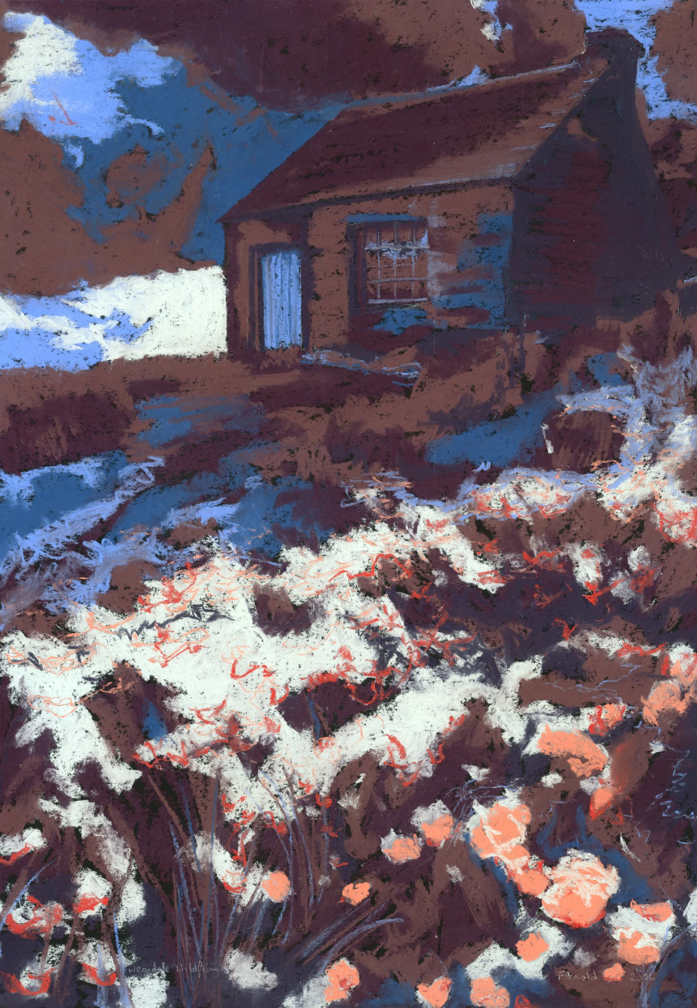 Weardale Wildflowers_Pastel_50x70cm_FrancesArnold2026.jpg
