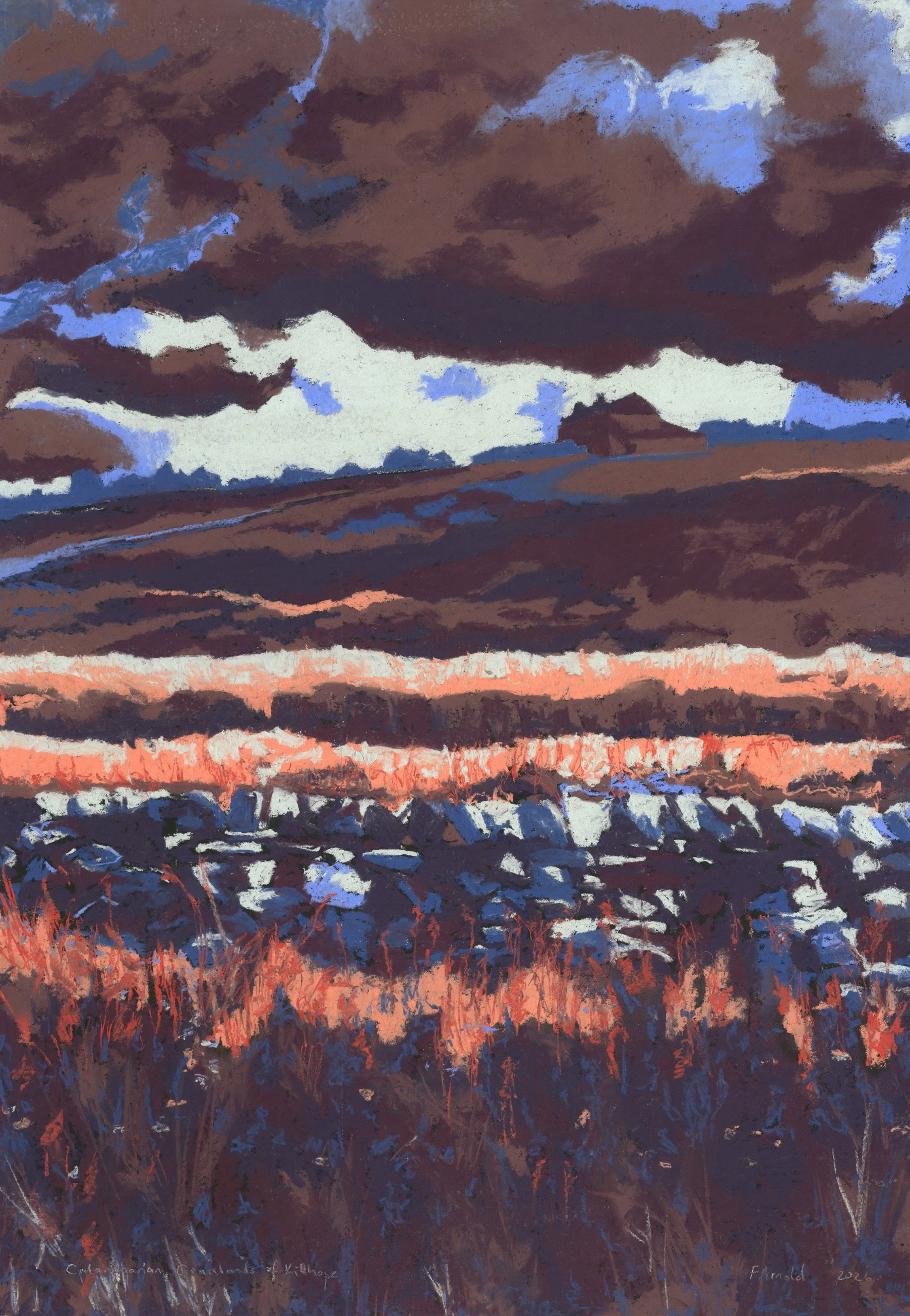 CalaminarianGrasslandsOfKillhope_Pastel_50x70cm_FrancesArnold2026.jpg