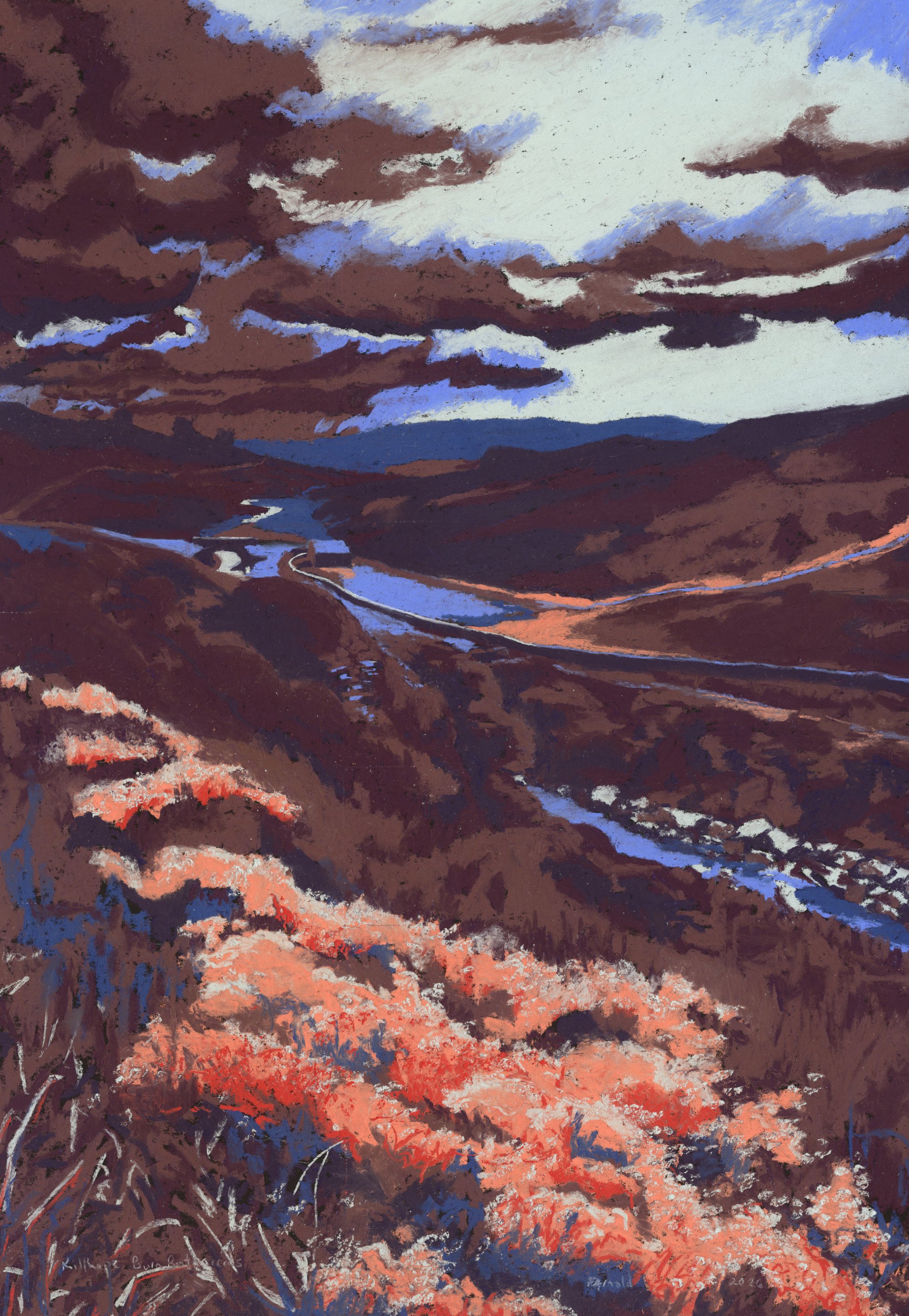 KillhopeBurnBotanicals_Pastel_50x70cm_FrancesArnold2026.jpg