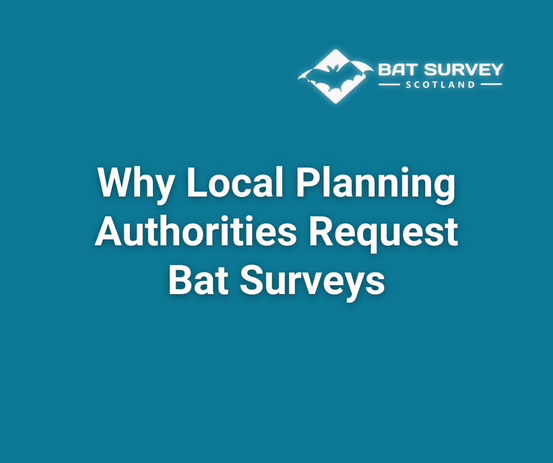Why Local Planning Authorities Request Bat Surveys
