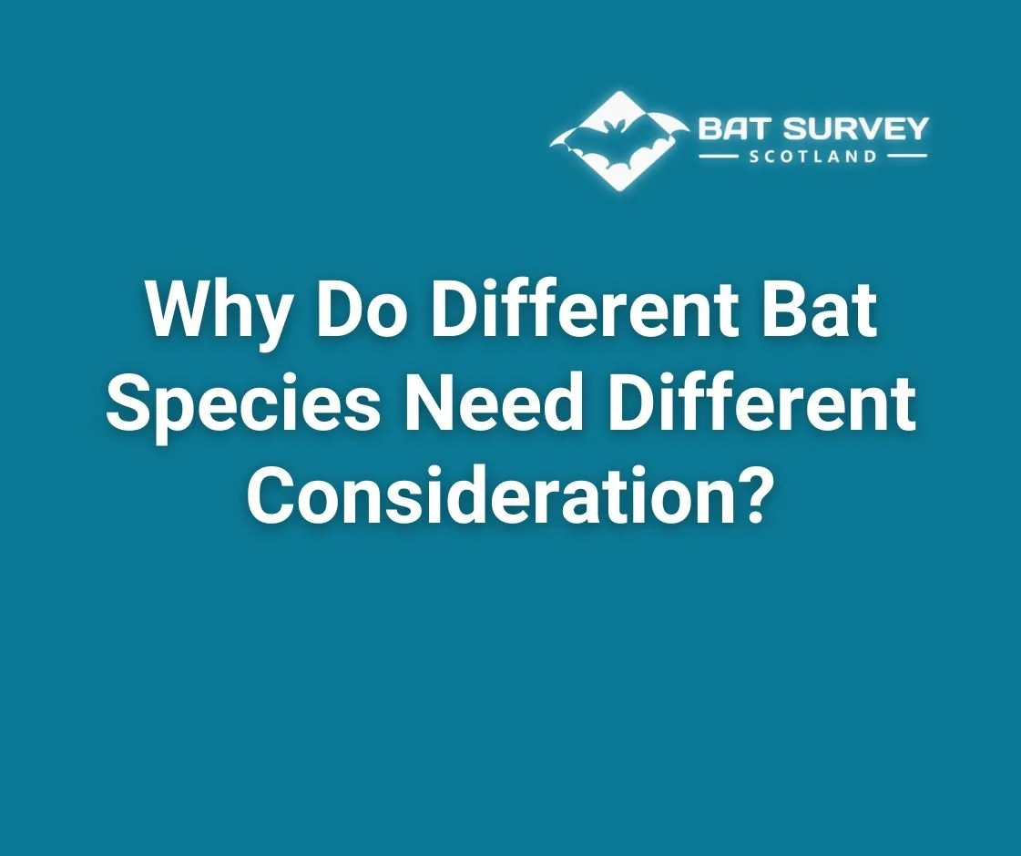 Why Do Different Bat Species Need Different Consideration?