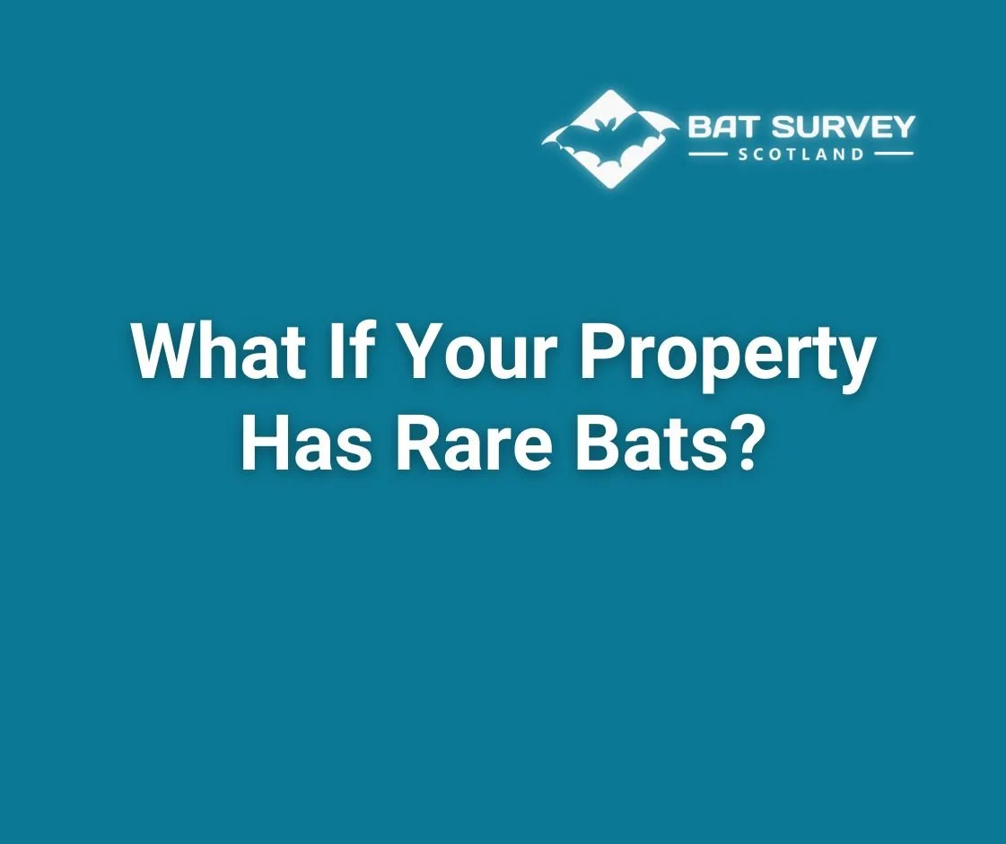 What Types of Roost Might We Find?