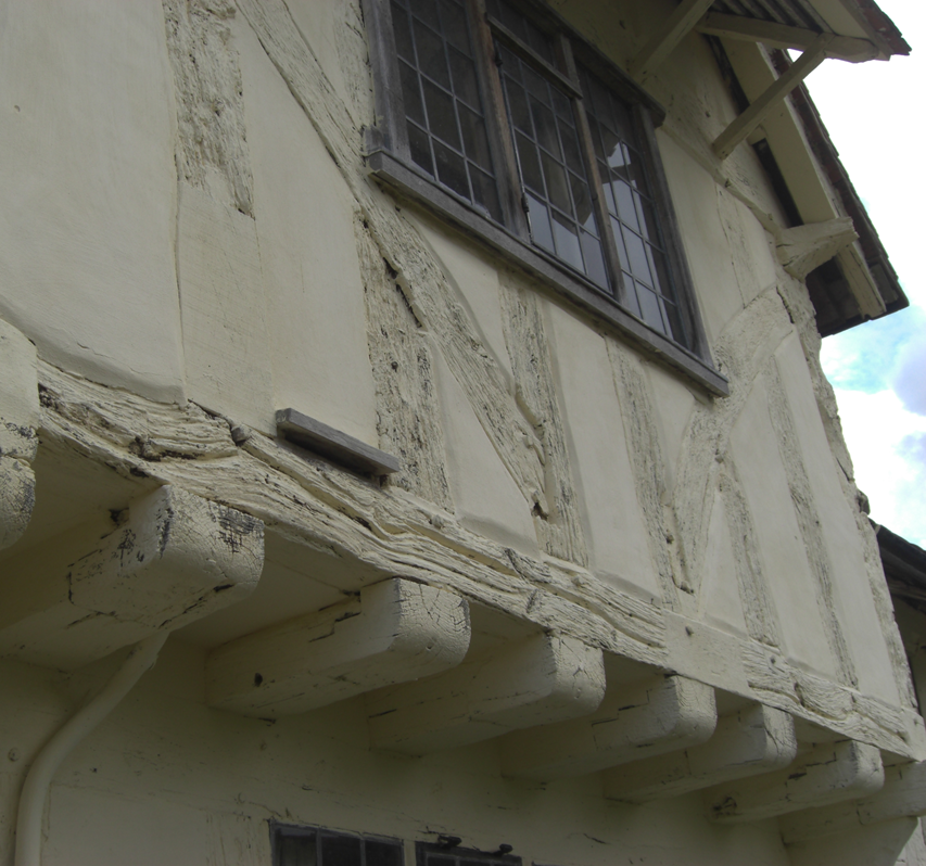 Bat Boxes for Development — Bat Survey Scotland