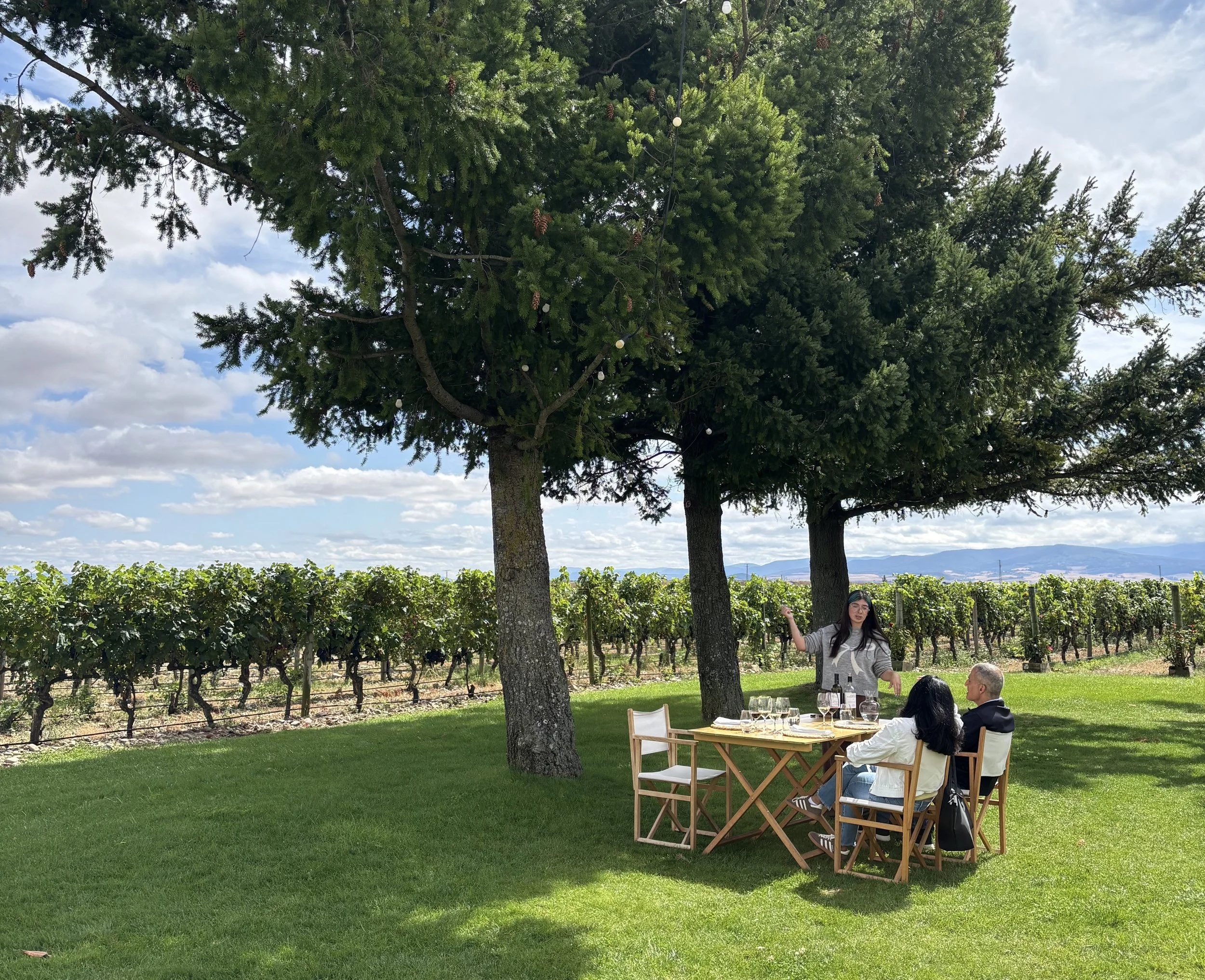 How Far Is the Rioja Wine Region from San Sebastián? A Perfect Day Trip for Wine Lovers