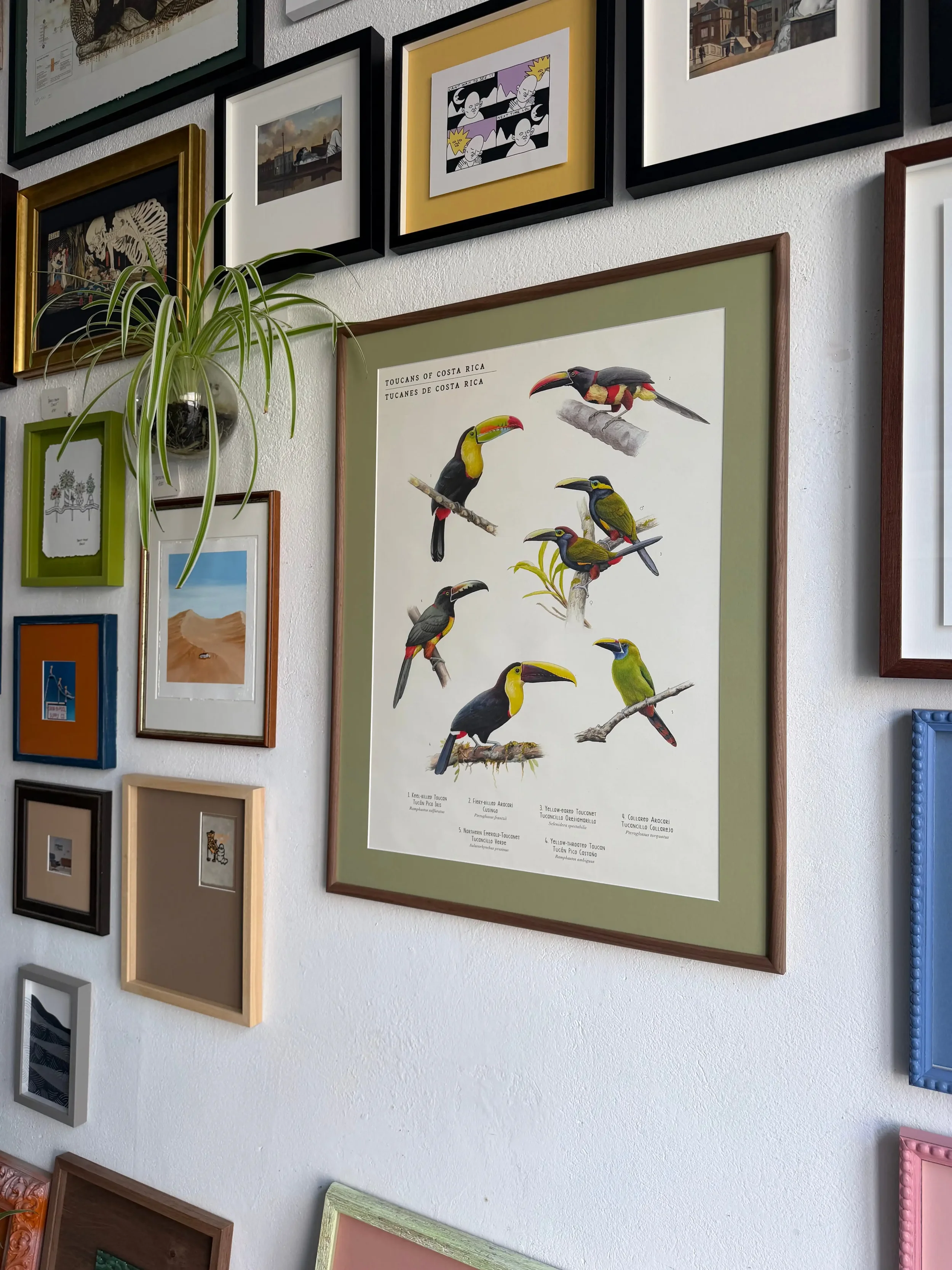 Custom framed artwork on gallery wall