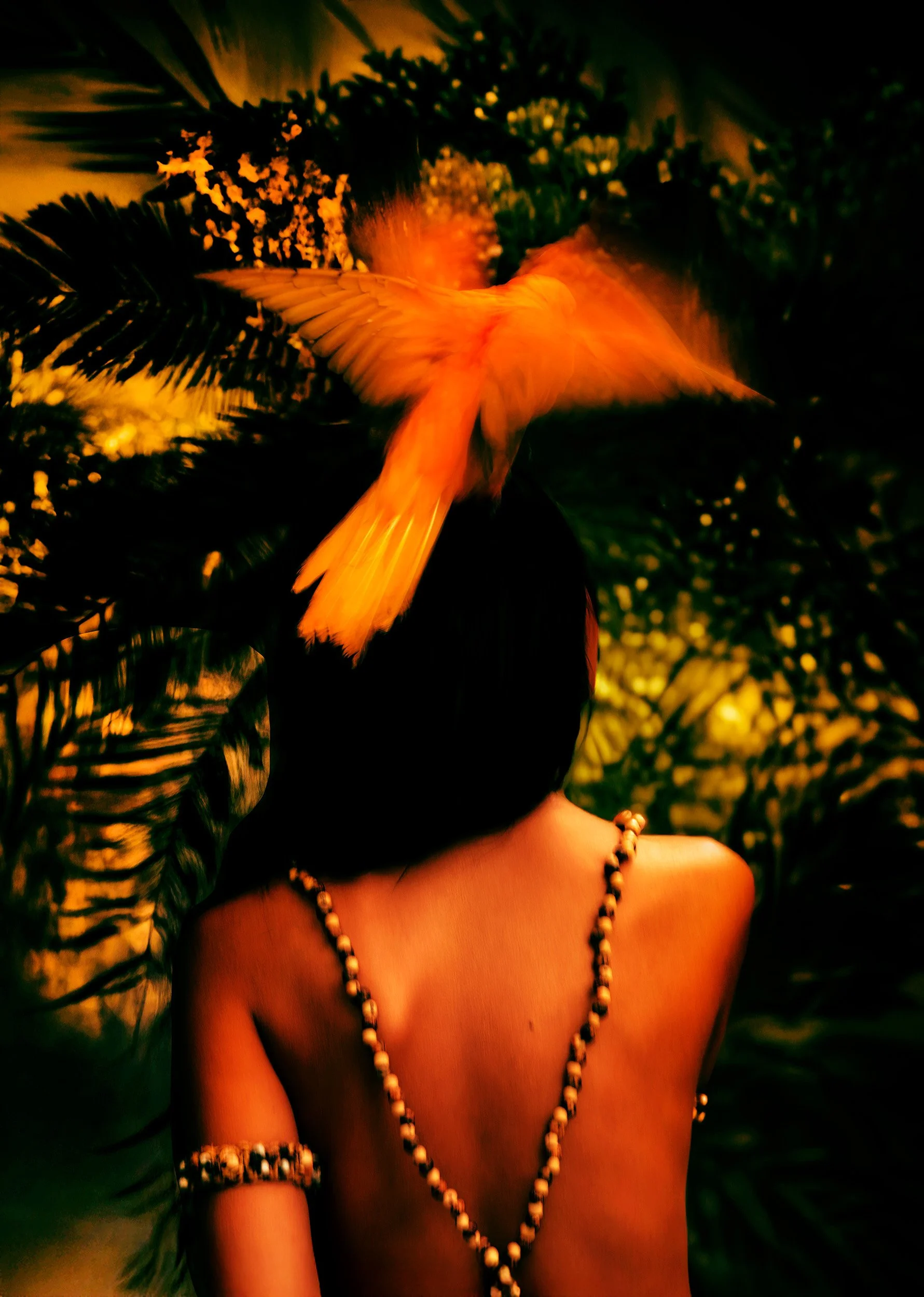 Florinda_AW18_0912 copy.jpg