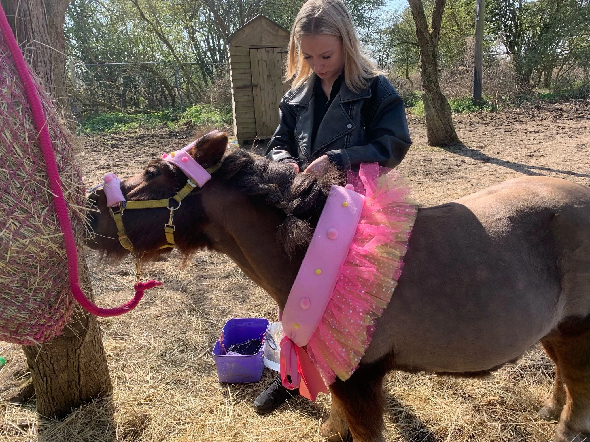 animal therapy 8.JPG