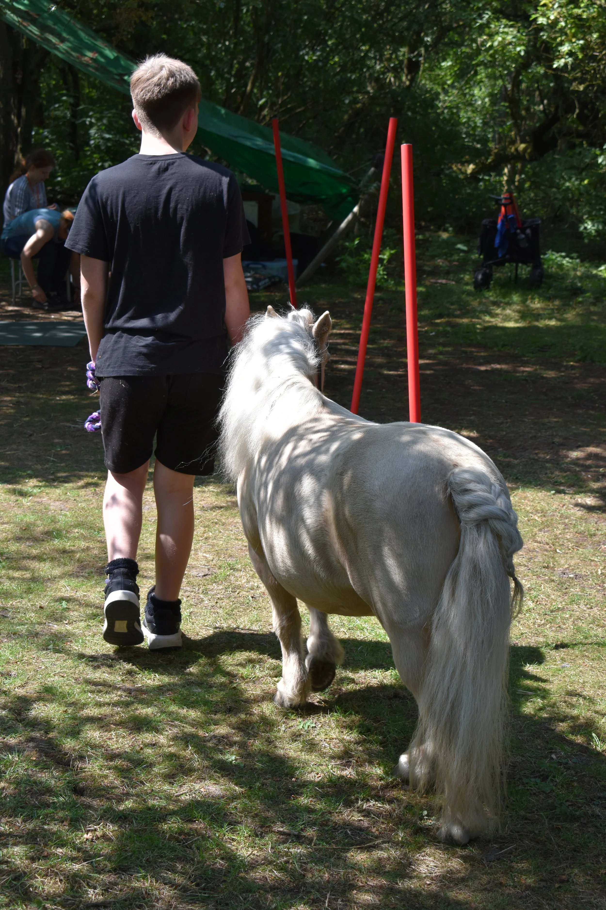 animal therapy 7.JPG