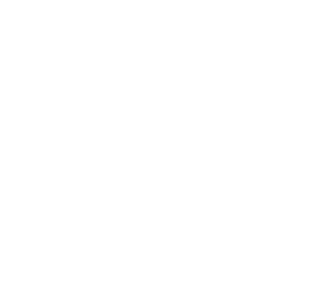 Vantage Peer Group, Mastermind