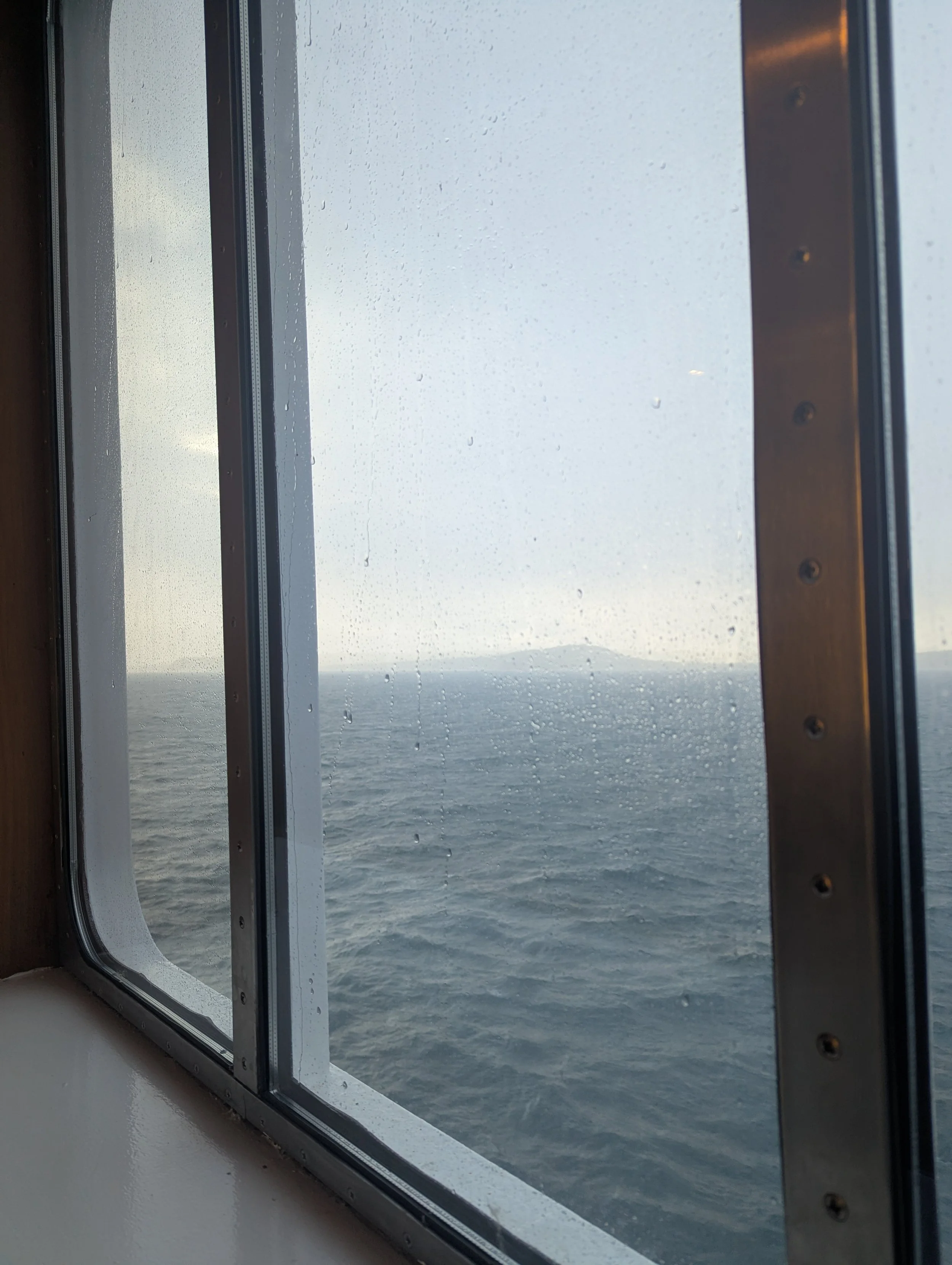 PXL_20260315_165057596.jpg