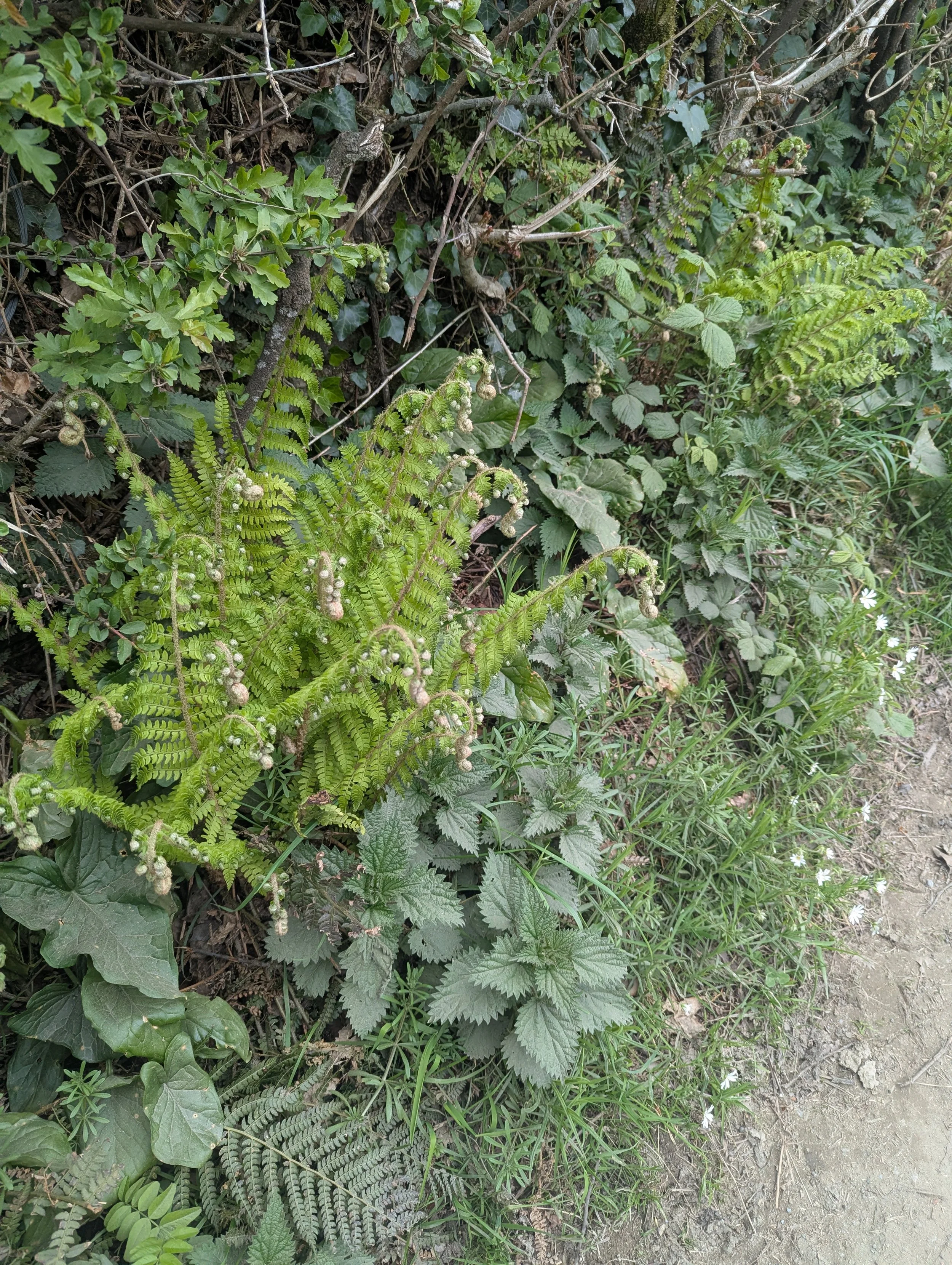 PXL_20260422_172459506.jpg