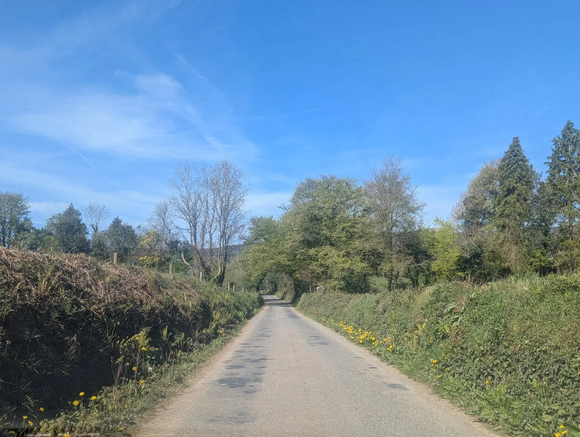 SIAP research: Reflections from Ireland’s South East