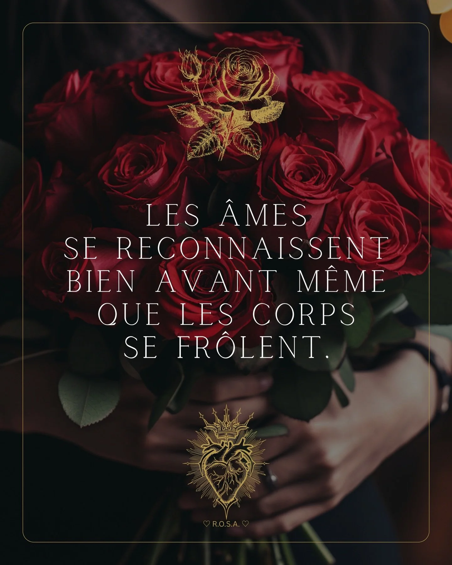&hearts;️🤍 &laquo; Les &Acirc;mes se reconnaissent bien avant m&ecirc;me que les corps se fr&ocirc;lent. &raquo; 🤍&hearts;️

𝐀𝐯𝐞𝐜 𝐀𝐦𝐨𝐮𝐫 ♡,

&bull;┈┈┈&bull;&bull;⟡ ✦ ♡ ✦ ⟡&bull;&bull;┈┈┈&bull;

𝐑.𝐎.𝐒.𝐀.
𝐑𝐨𝐬𝐞 𝐝&rsquo;𝐎𝐫 𝐒𝐚𝐜𝐫𝐞