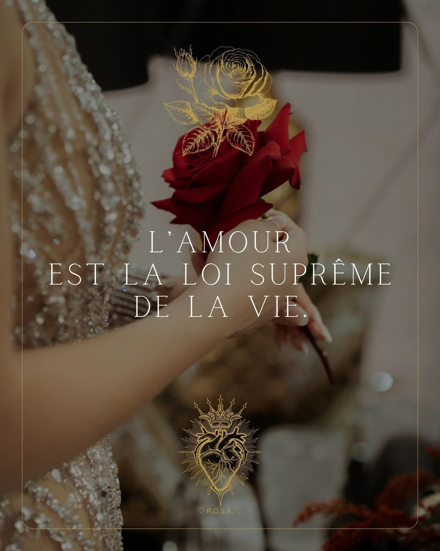 &hearts;️🤍 &laquo; L&rsquo;Amour est la loi supr&ecirc;me de la Vie. &raquo; 🤍&hearts;️

𝐀𝐯𝐞𝐜 𝐀𝐦𝐨𝐮𝐫 ♡,

&bull;┈┈┈&bull;&bull;⟡ ✦ ♡ ✦ ⟡&bull;&bull;┈┈┈&bull;

𝐑.𝐎.𝐒.𝐀.
𝐑𝐨𝐬𝐞 𝐝&rsquo;𝐎𝐫 𝐒𝐚𝐜𝐫𝐞́𝐞 𝐀𝐩𝐡𝐫𝐨𝐝𝐢𝐭𝐞

𝐌𝐚𝐢𝐭𝐫𝐞