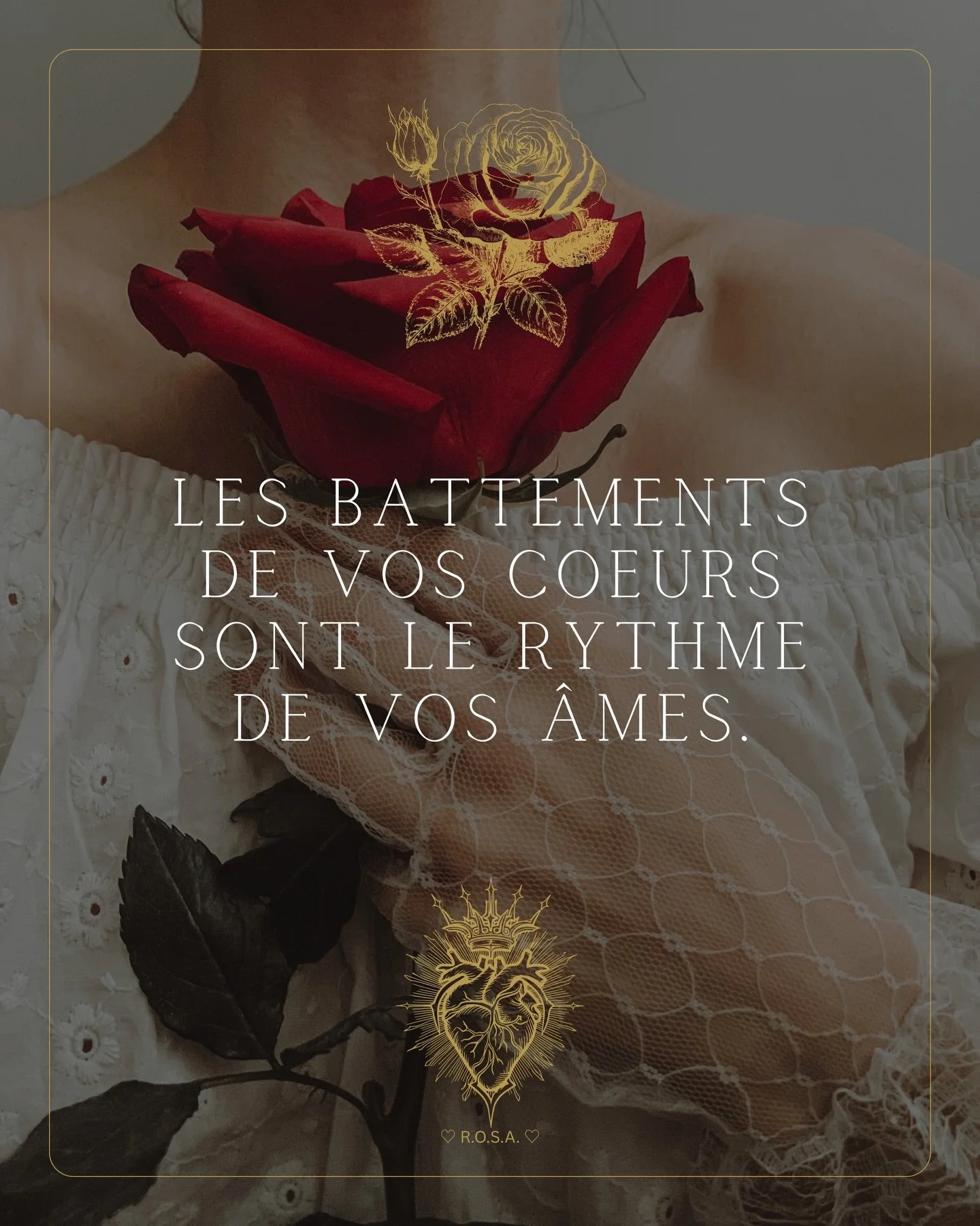 &hearts;️🤍 &laquo; Les battements de Vos C&oelig;urs sont le rythme de Vos &Acirc;mes. &raquo; 🤍&hearts;️

𝐀𝐯𝐞𝐜 𝐀𝐦𝐨𝐮𝐫 ♡,

&bull;┈┈┈&bull;&bull;⟡ ✦ ♡ ✦ ⟡&bull;&bull;┈┈┈&bull;

𝐑.𝐎.𝐒.𝐀.
𝐑𝐨𝐬𝐞 𝐝&rsquo;𝐎𝐫 𝐒𝐚𝐜𝐫𝐞́𝐞 𝐀𝐩𝐡𝐫𝐨𝐝𝐢