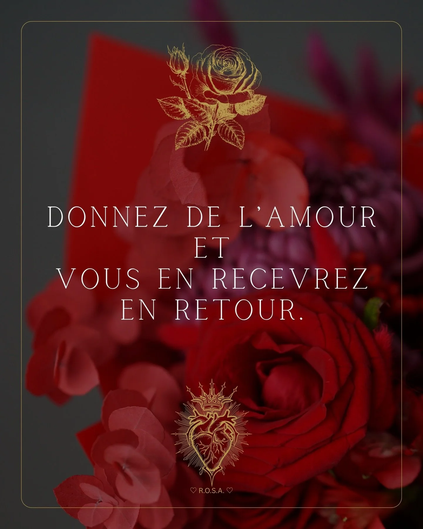 &hearts;️🤍 &laquo; Donnez de l&rsquo;Amour et vous en recevrez en retour. &raquo; 🤍&hearts;️

𝐀𝐯𝐞𝐜 𝐀𝐦𝐨𝐮𝐫 ♡,

&bull;┈┈┈&bull;&bull;⟡ ✦ ♡ ✦ ⟡&bull;&bull;┈┈┈&bull;

𝐑.𝐎.𝐒.𝐀.
𝐑𝐨𝐬𝐞 𝐝&rsquo;𝐎𝐫 𝐒𝐚𝐜𝐫𝐞́𝐞 𝐀𝐩𝐡𝐫𝐨𝐝𝐢𝐭𝐞

𝐌𝐚𝐢?