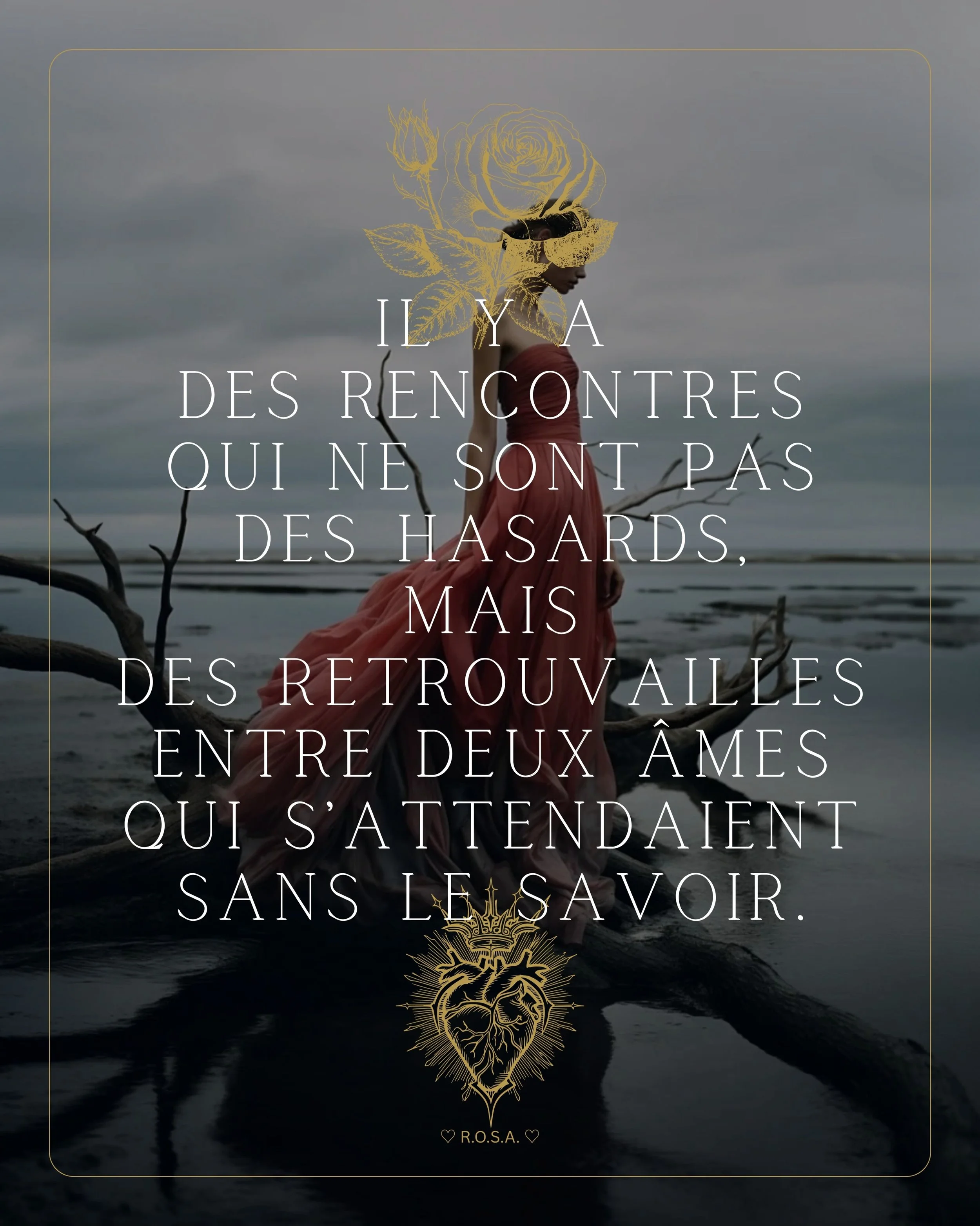 &hearts;️🤍 &laquo; Il y a des rencontres qui ne sont pas des hasards, mais des retrouvailles entre deux &Acirc;mes qui s&rsquo;attendaient sans le savoir. &raquo; 🤍&hearts;️

L'Univers ne fait pas d'erreurs. Parfois, on ne rencontre pas quelqu'un, 