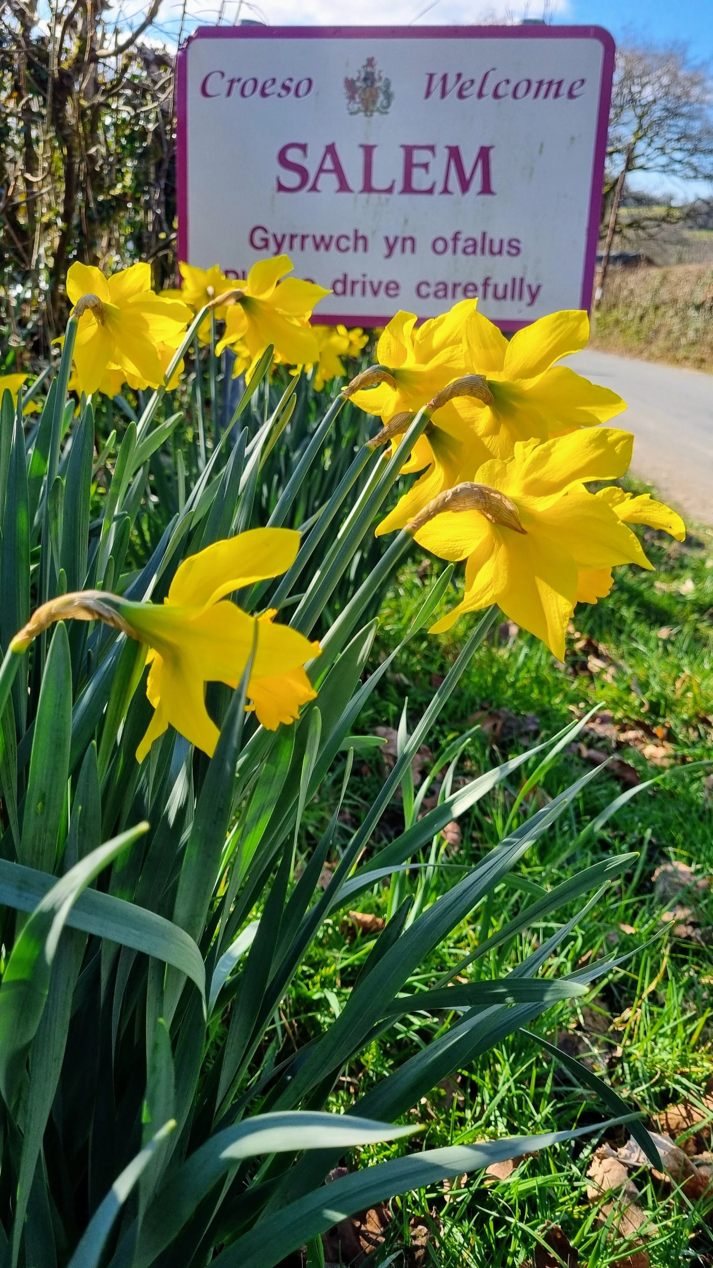 20250315_101600 Copy.jpeg