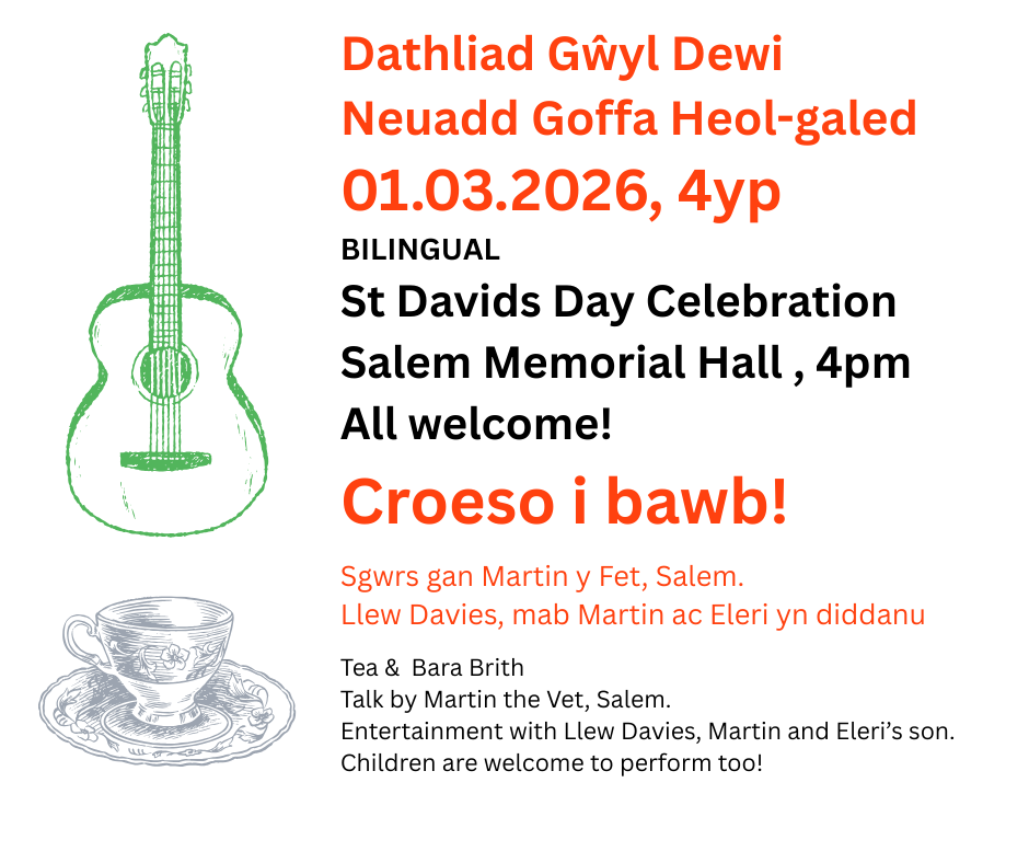 Cylchlythyr Chwefror 2026 💖 February 2026 Newsletter