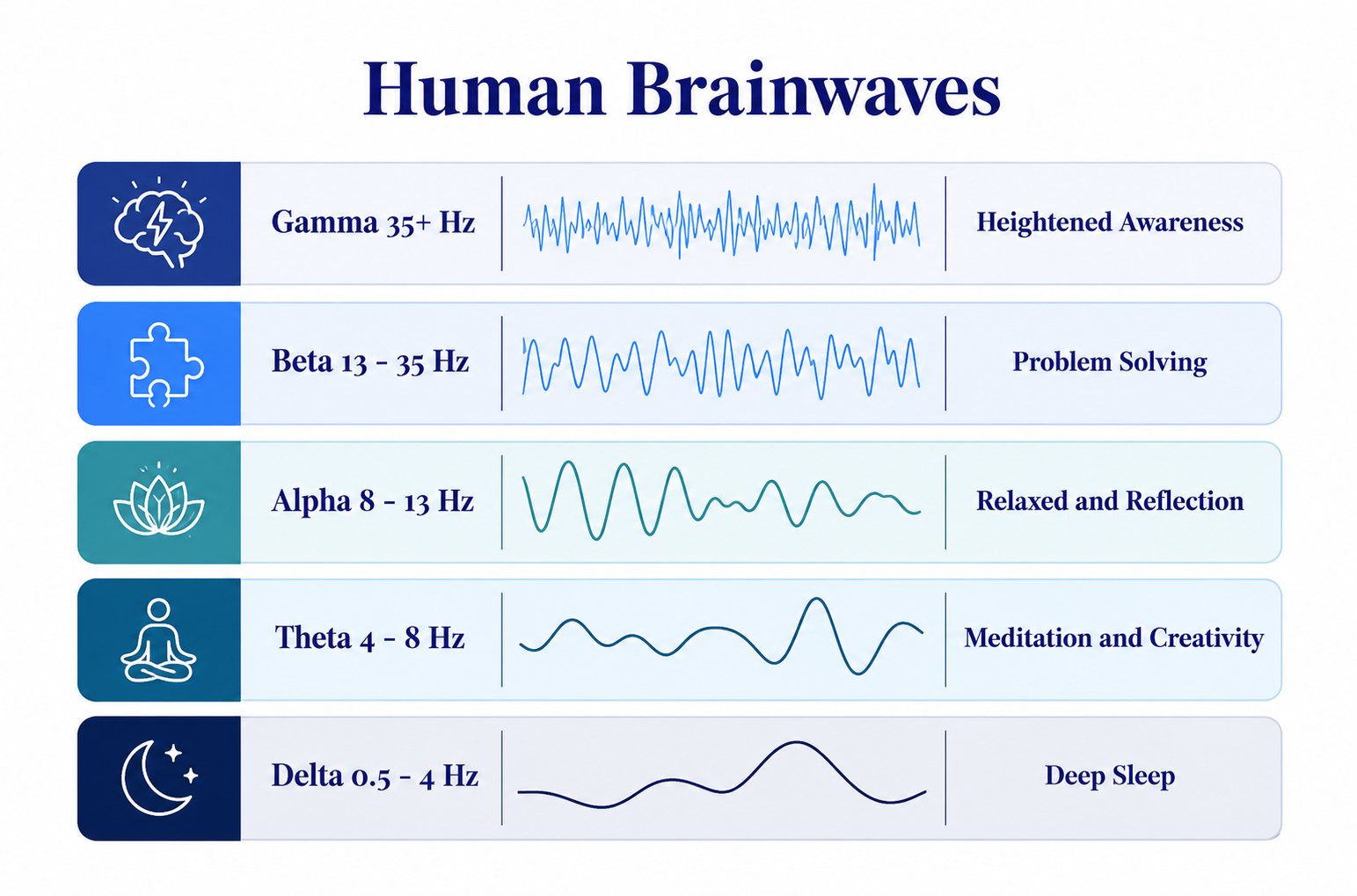Human Brainwaves Image