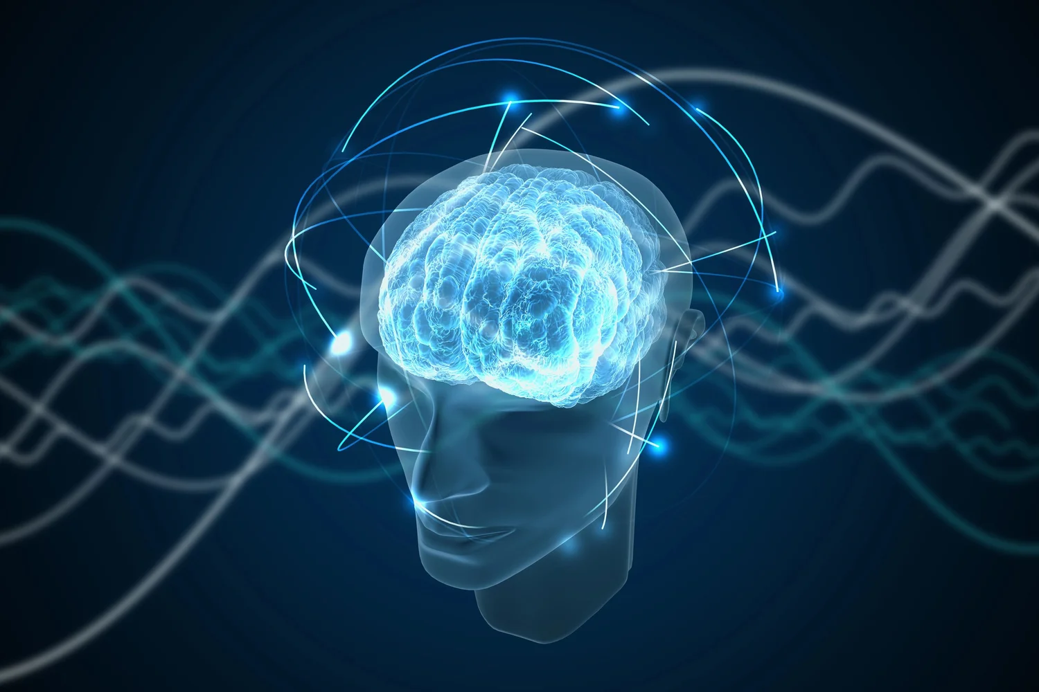 Quantum Consciousness: It Connects Brain and Universe — Ray Catania ...