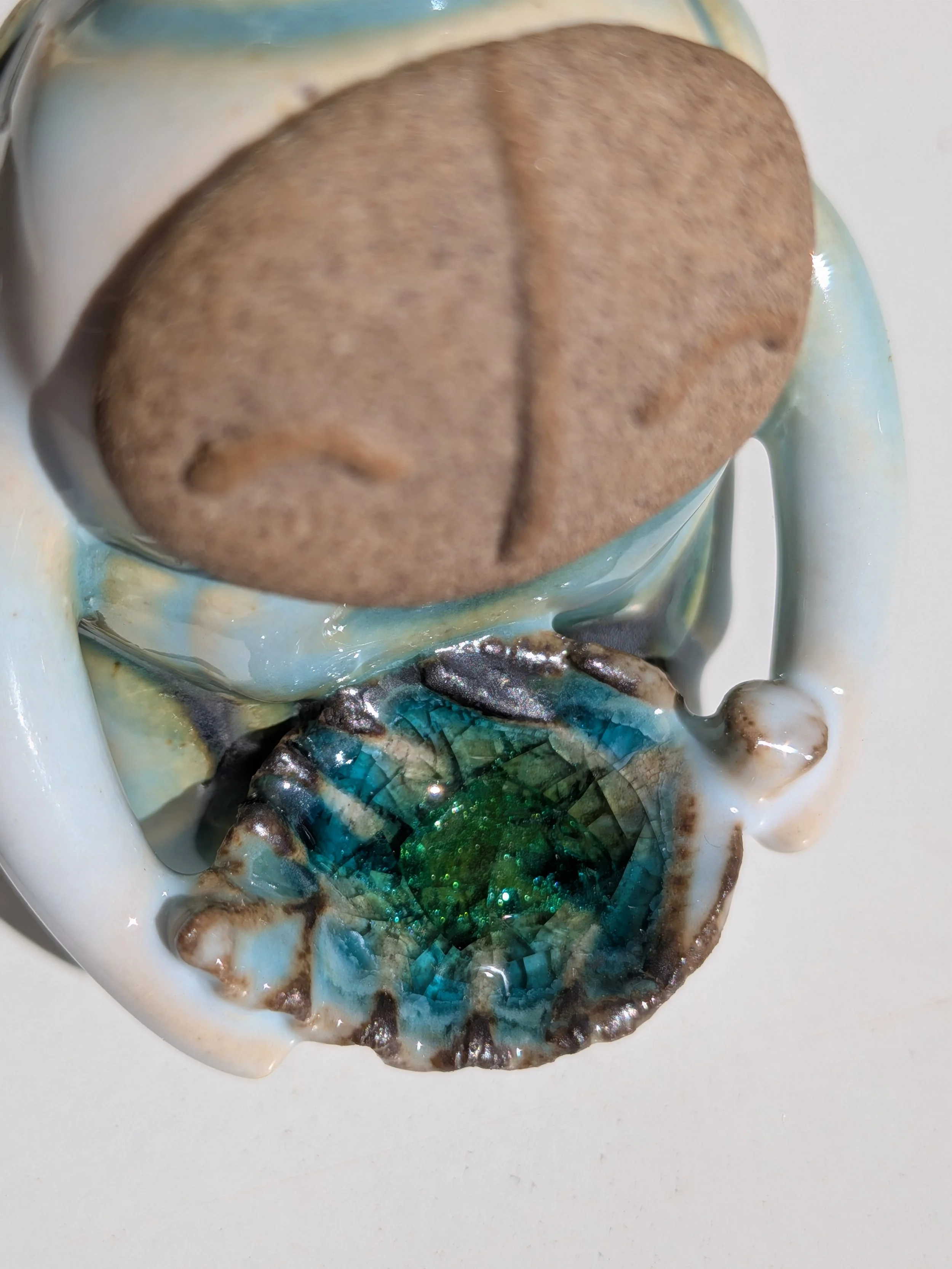 PXL_20260924_100158371.MACRO_FOCUS.jpg