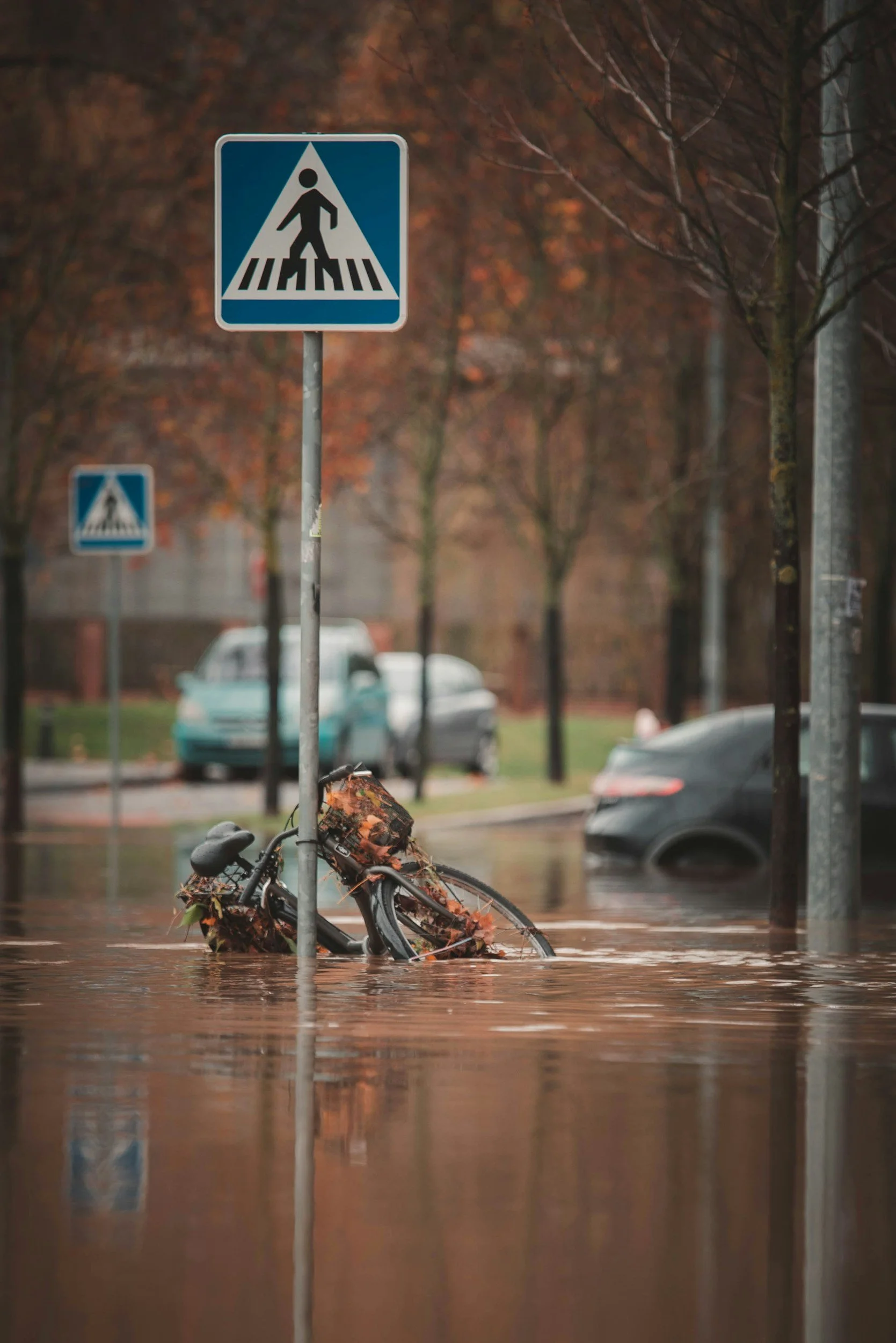 Flooded street with a submerged bicycle covered in autumn leaves and a nearby pedestrian crossing sign, with cars and trees in the background.